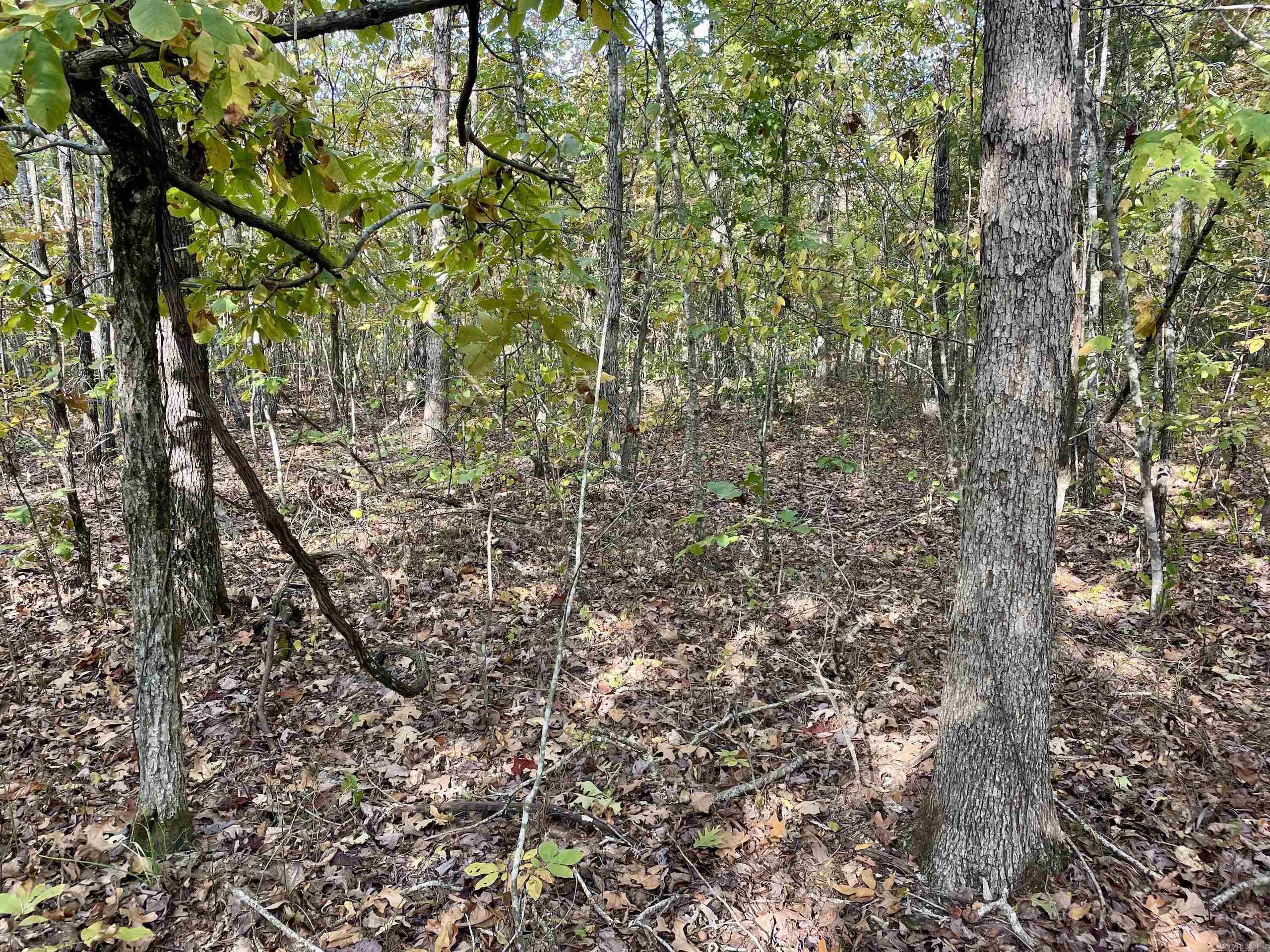 Not in Subdivision - Land