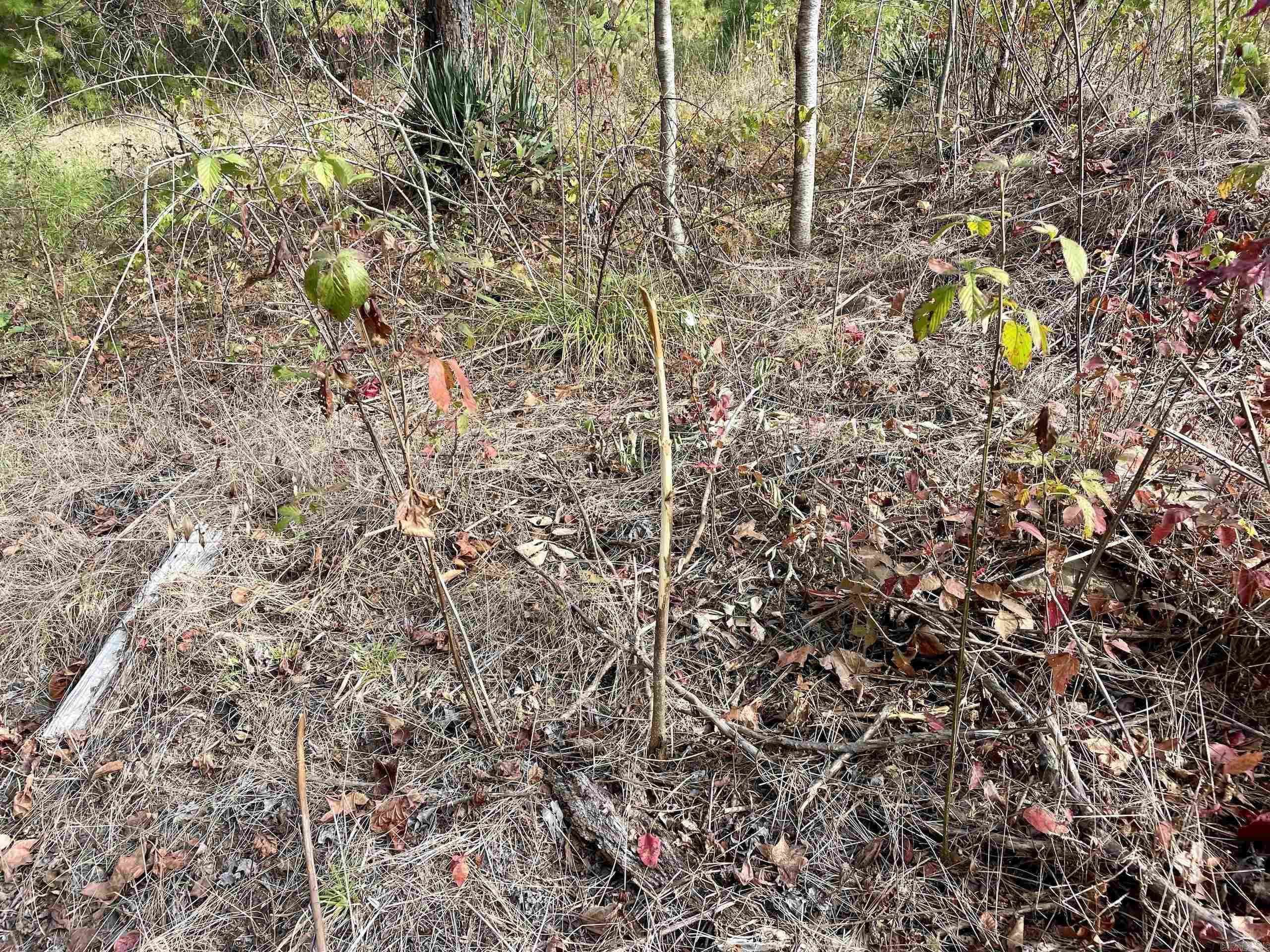 Not in Subdivision - Land