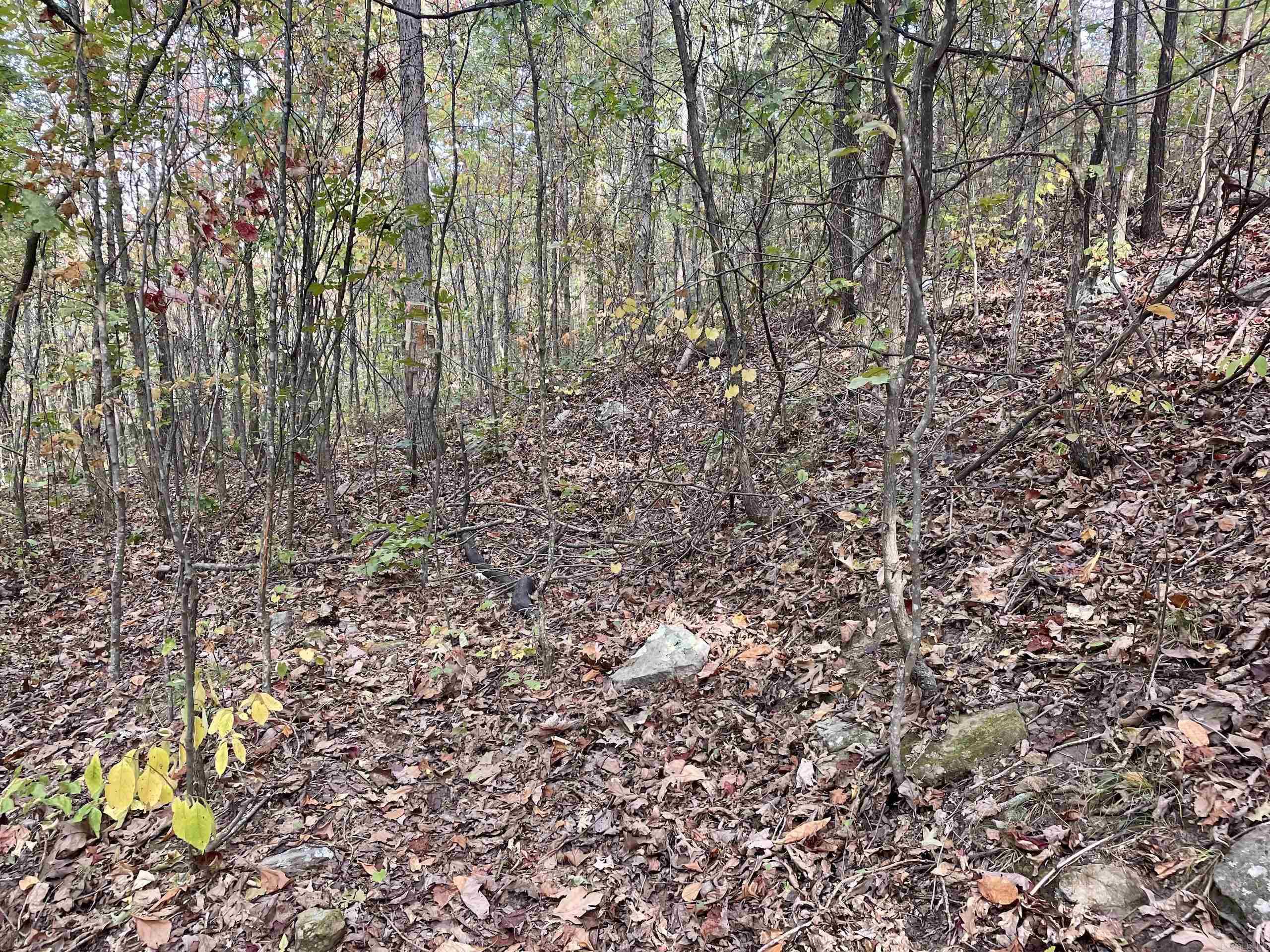 Not in Subdivision - Land