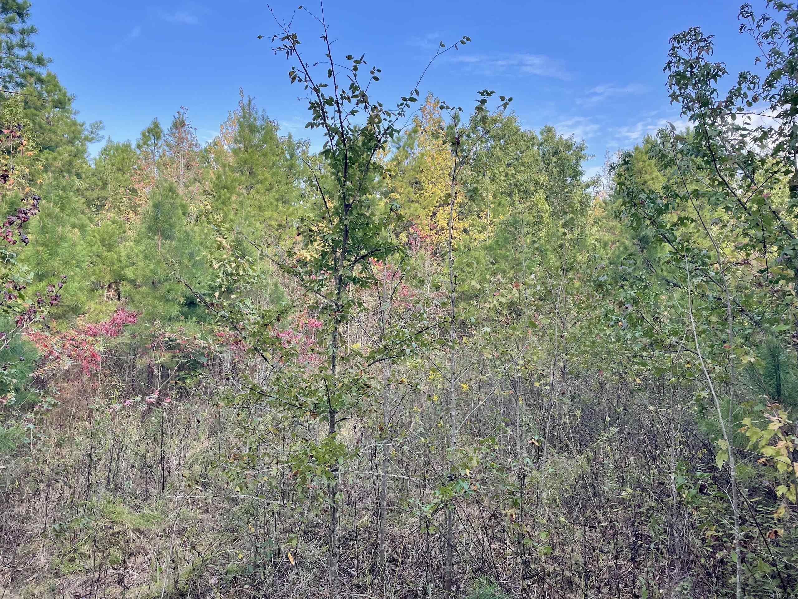 Not in Subdivision - Land