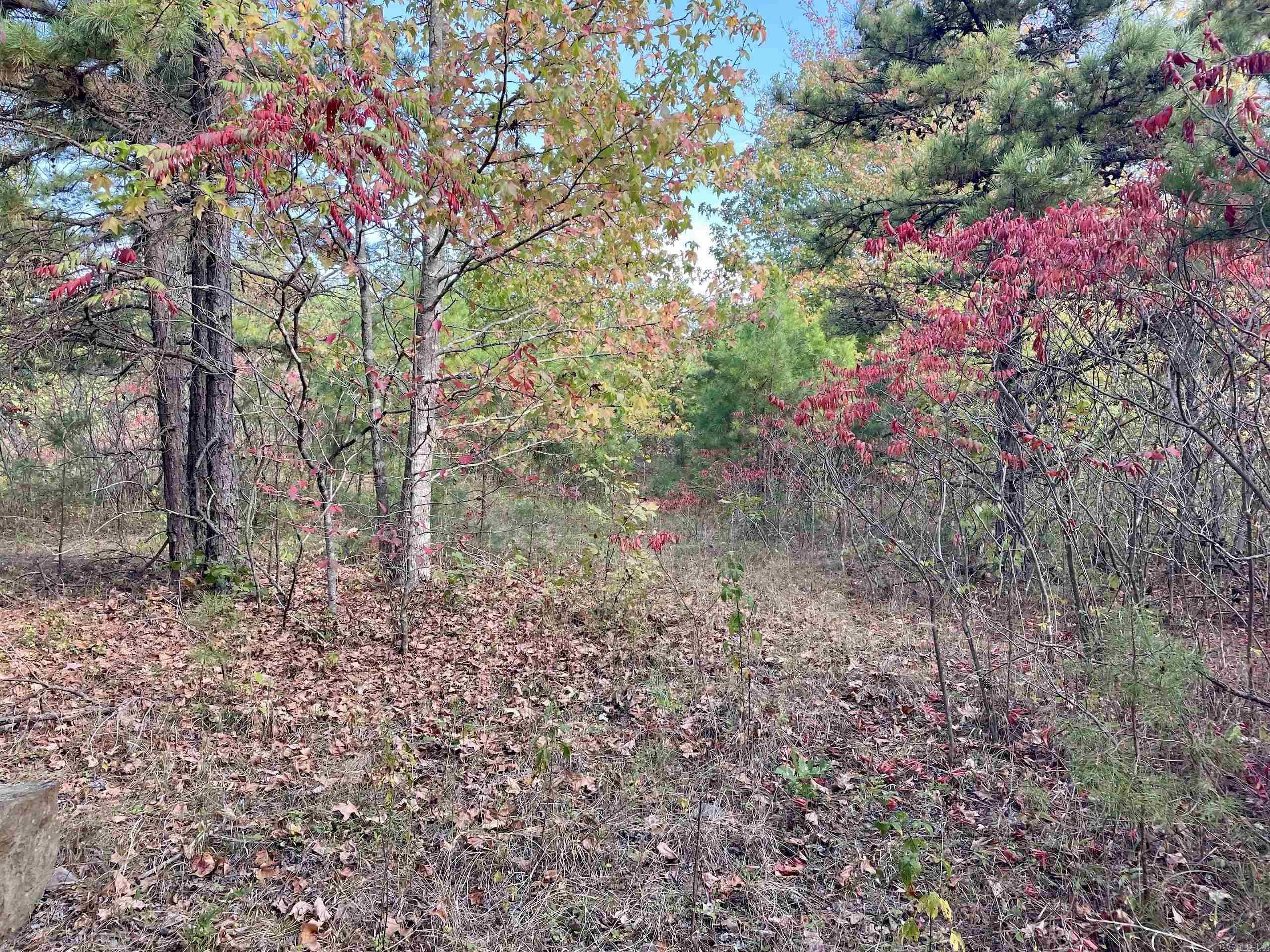 Not in Subdivision - Land