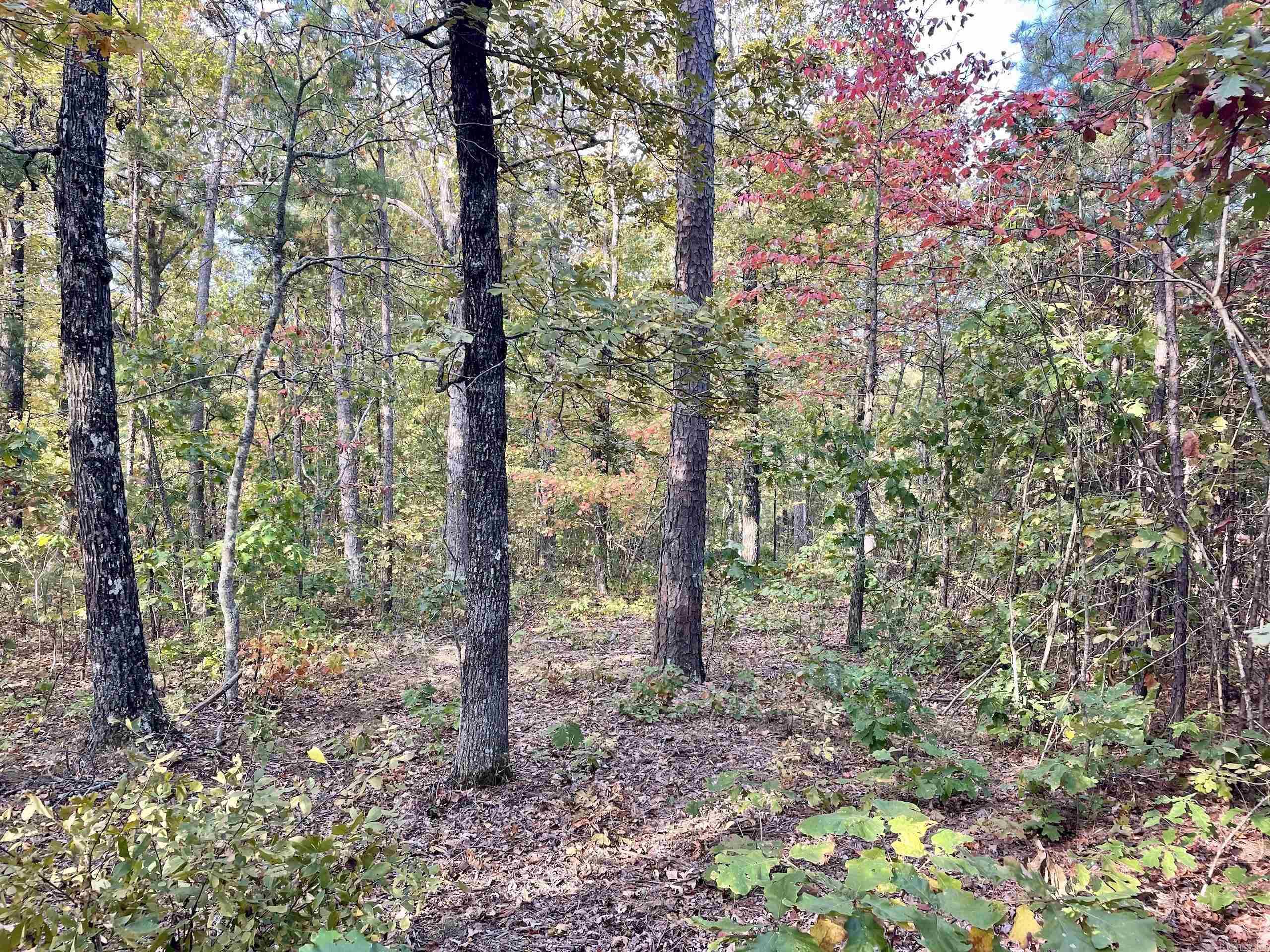 Not in Subdivision - Land