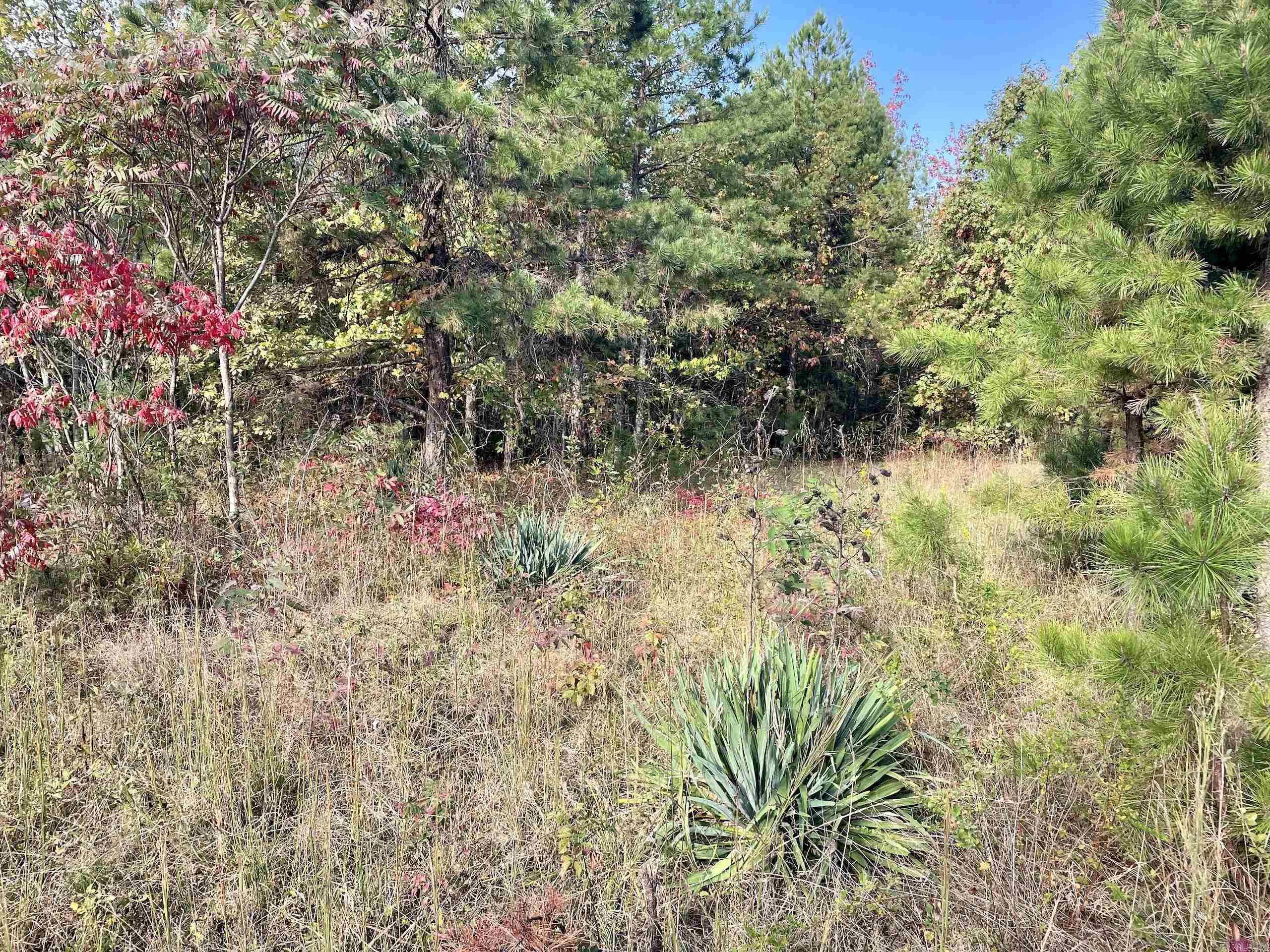 Not in Subdivision - Land