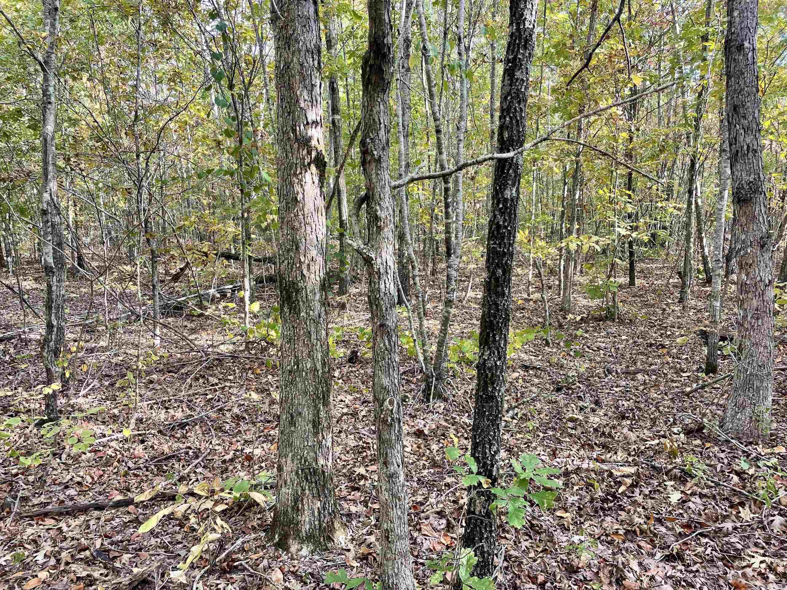 Not in Subdivision - Land