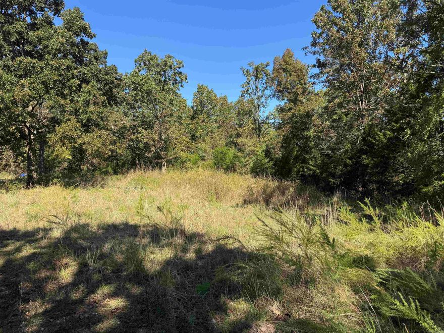 Looking for that perfect place to build a rural home, hunting cabin, or just simply wanting to own your own piece of the country? This tract will fit those needs. This tract could also be used strictly for recreation and hunting, deer and turkeys frequent the property. Not far from the amenities of town but still a peaceful, quiet country setting.   -5 miles from Crown Lake  -5 miles from Horsehoe Bend  -7 miles from Salem, AR.  -15 Miles from Hardy, AR.  -Electric available with gravel road frontage.