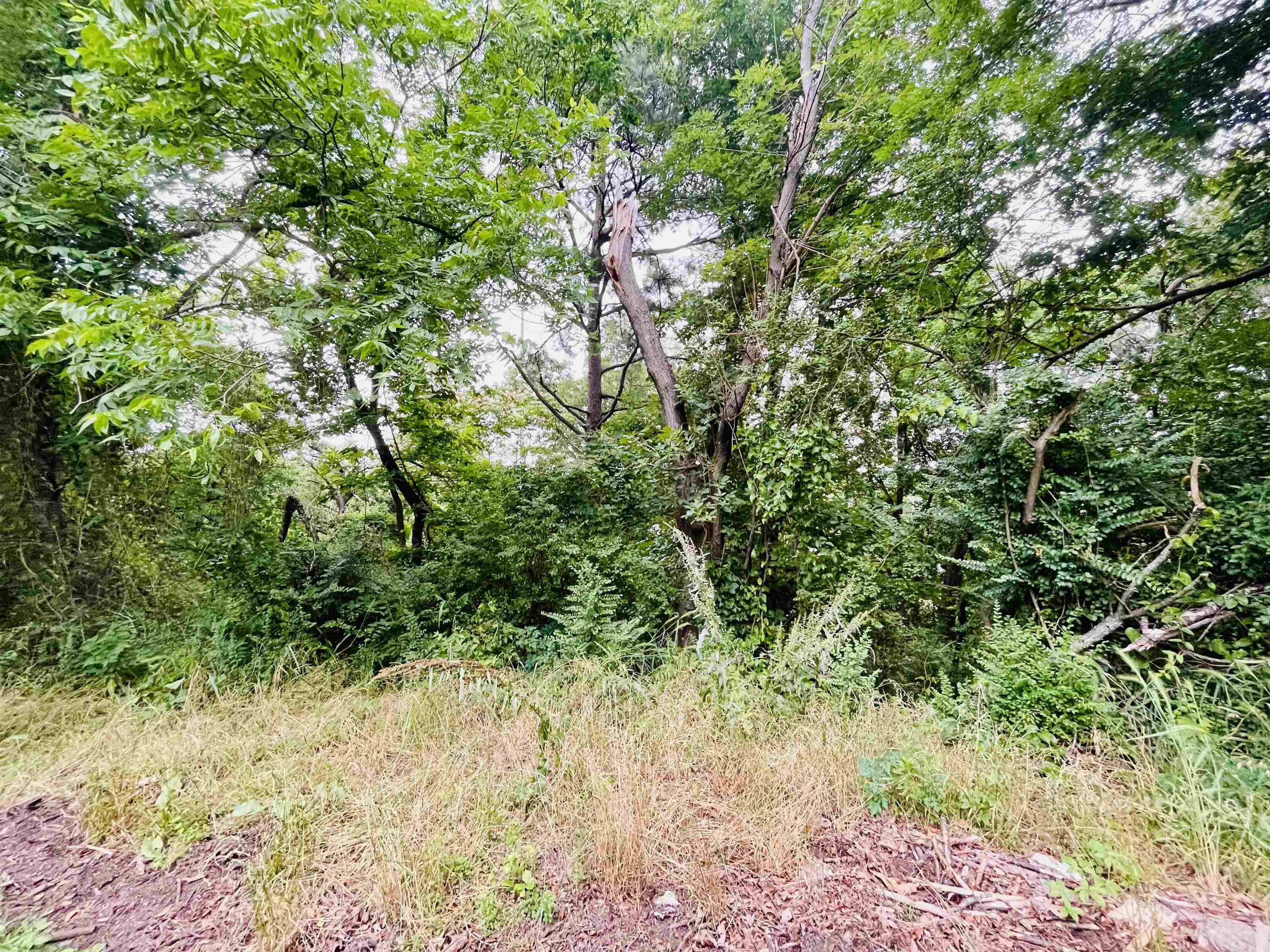 Sheree Place - Land