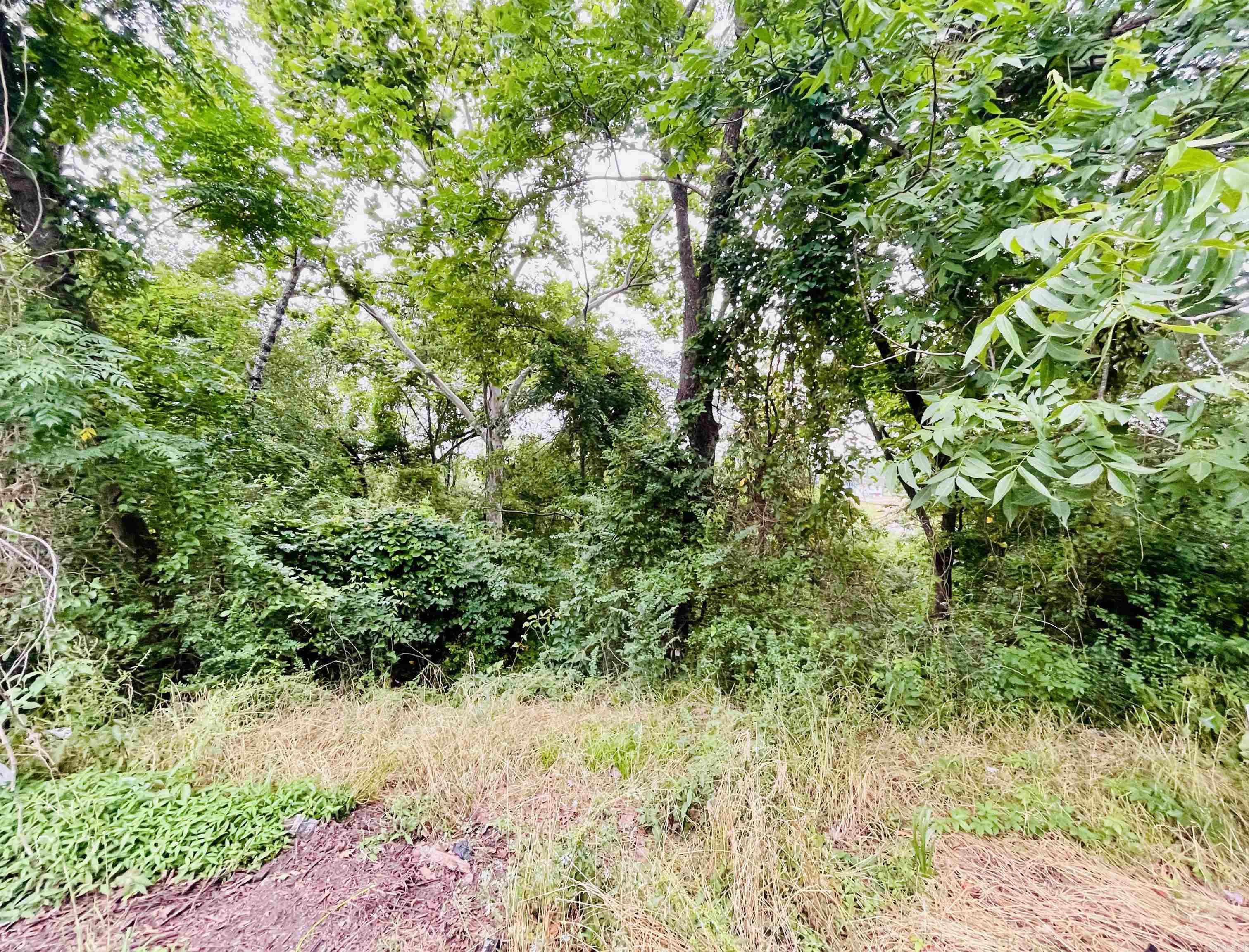 Investors!!! 2 lots perfect for building rentals!! Just over 1/2 acre!! Lot 6 is 47'x144'x170'x146' for .27 acres and Lot 7 is 50'x146'x1765'x130.1' for .25 acres.