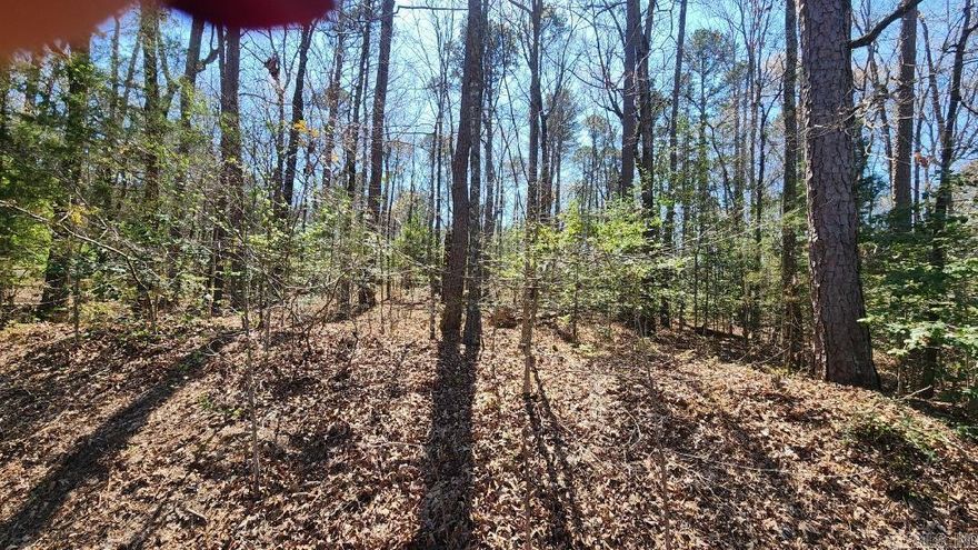 Welcome to beautiful Hot Springs Village, which has so much to offer! This vacant lot is the perfect place to build your dream home. Utilities are readily available, with common property access to Lake Balboa which is  across the road.