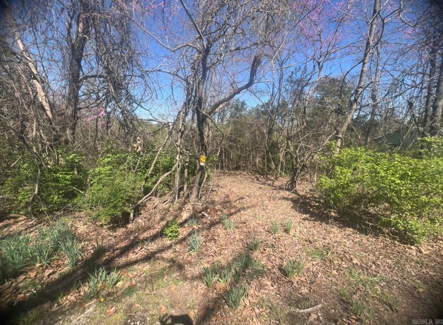 Owner Financing Available- This lot is zoned for mobile homes, you can see this lot has been mostly cleared and has an older mobile home pad. Horseshoe Bend is the largest town in Izard County, with 2,180 residents. Come and enjoy the gorgeous view and a slower pace of life. You can stay for a week or call it home; the choice is yours. Horseshoe Bend has so much to do for the whole family like fishing, canoeing, golfing, bowling, swimming, etc.: With a few Lakes and restaurants to choose from for the entire family. I also have lots where you can build your dream home or place a cabin all over Horseshoe Bend.  The Horseshoe Bend Water Department will have Water & Sewer information for you concerning water service and trash service. That number is 870-670-5885 or you can email at water@cityhsb.org The electricity is provided by North Arkansas Electric Cooperative. Their number is 870-895-3221.  Here is your opportunity to buy a beautiful piece of land in Horseshoe Bend. It is the perfect place to build or use as a vacation spot for yourself or your family. Hold onto for yourself or give it to your kids down the road. This is a lot that everyone can enjoy for years and years to come!