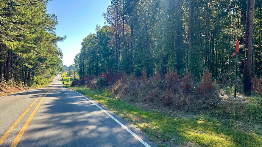 11.69 acres +/- located on Ironton Cut-Off Rd., just south of Little Rock in Pulaski County, Arkansas. This timber tract offers a peaceful, rural setting while still being within easy reach of city amenities.  It's been surveyed and consists of mature timber, offering both privacy and a natural feel. With access to utilities at the road, it’s ready for your dream home. Enjoy the country setting with the benefits of being close to Little Rock. If you’ve been searching for a private piece of land, don’t miss this opportunity to own a piece of ground just outside of the city. Give me a call to take a look!