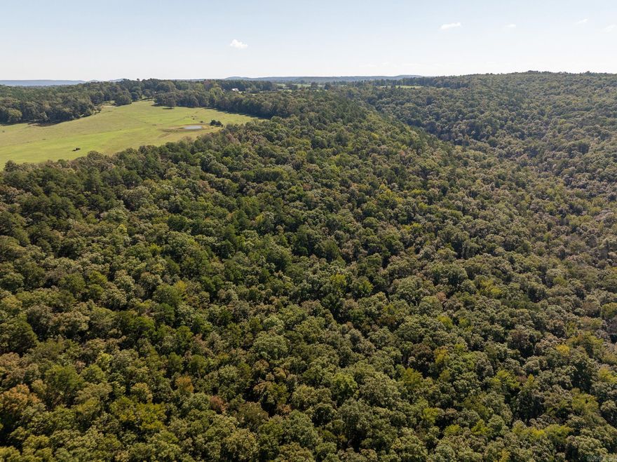 Here's an exciting opportunity for hill country hunters and outdoor enthusiasts! If you enjoy hunting Whitetail Deer, Turkey, Bear, or Small Game, or simply appreciate the beautiful Ozark hills, this 95 +/- acre property is an ideal choice.   It features an excellent and recently improved trail system, easily navigable by ATV/UTV or compact 4x4 vehicles. The property includes a deep, secluded canyon with a beautiful seasonal creek bottom, and rolling hills covered in mature hardwood timber, offering potential investment returns.   The Copeland 95 also boasts road frontage and a cleared area perfect for a building site or parking, offering terrific views of the property and the Archey Creek valley.   Its location is highly convenient: * Approximately 1 mile from Archey Creek * 25 minutes from Clinton, Arkansas, which provides RV parks, lodging, grocery stores, a Municipal Airport, restaurants, and a hospital * 1.5 hours from Conway, Arkansas * 2 hours from Little Rock, Arkansas * 3 hours from Branson, Missouri The Copeland 95 has the look and feel of a true Ozark hunting property — quiet, scenic, and full of potential. It’s the kind of place you’ll want to explore in every season.