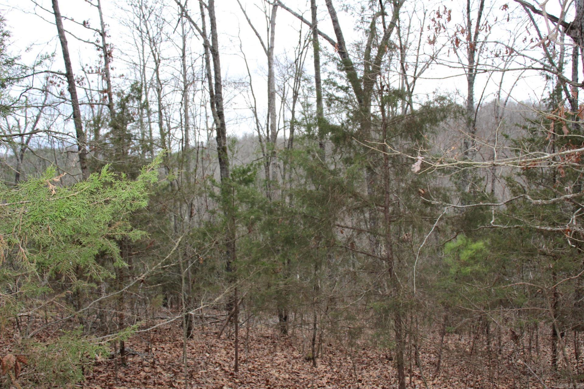 Not in Subdivision - Land