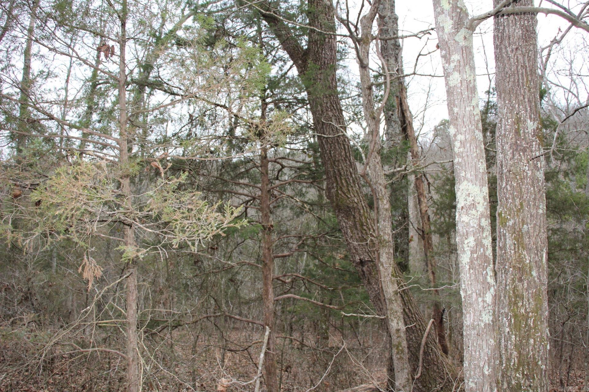 Not in Subdivision - Land