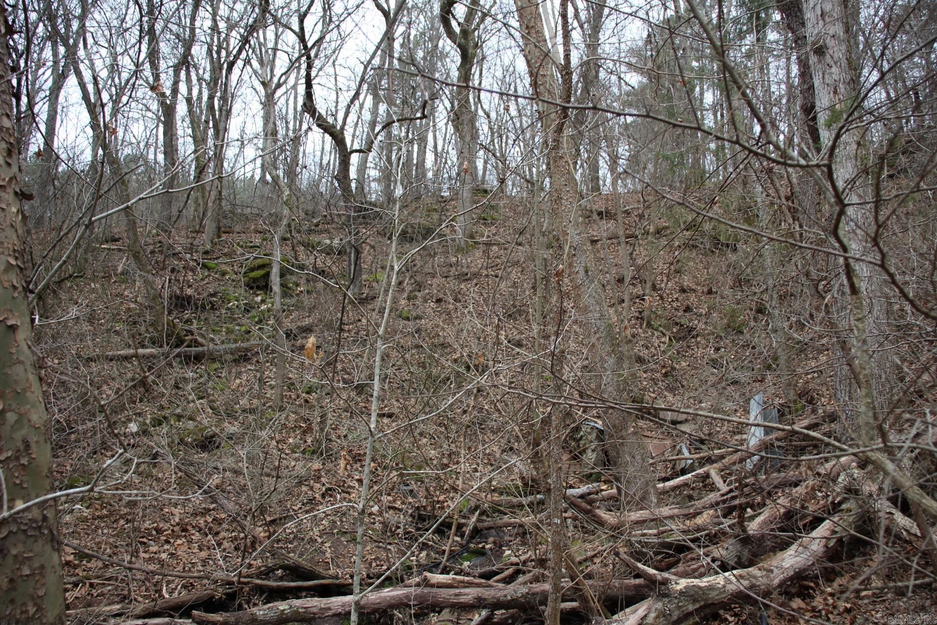 Not in Subdivision - Land