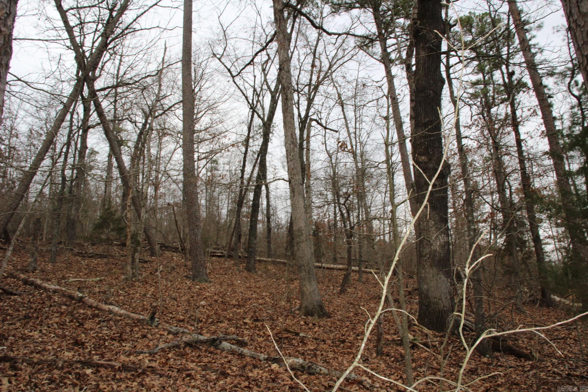 Not in Subdivision - Land