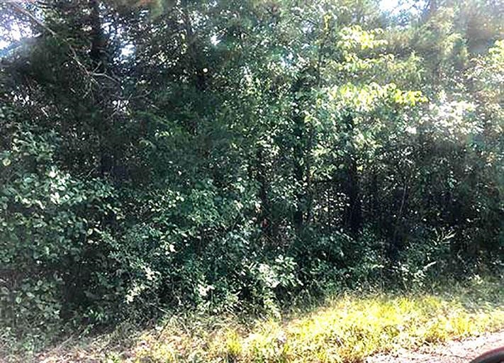 Navajo Second - Land