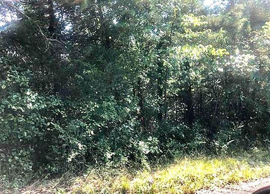 Wooded lot with utilities in the area.  A close walk to Lake Navajo.
