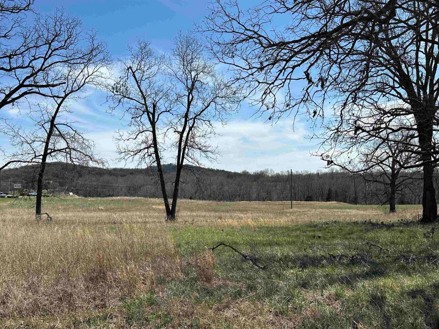 Prime Commercial Land on hwy 62/412-Endless Possibilities! Unlock the potential of this versatile commercial land just outside Yellville! Located past NAPS Auto, this property offers highway frontage on busy 62/412, ensuring excellent visibility and access. Electric & natural gas available. Mostly level terrain for easy development. Near the County Quarry for industrial opportunities. Multiple purchase options-buy separately or combine with others! Don't miss this chance to invest in a high-traffic location with limitless potential.