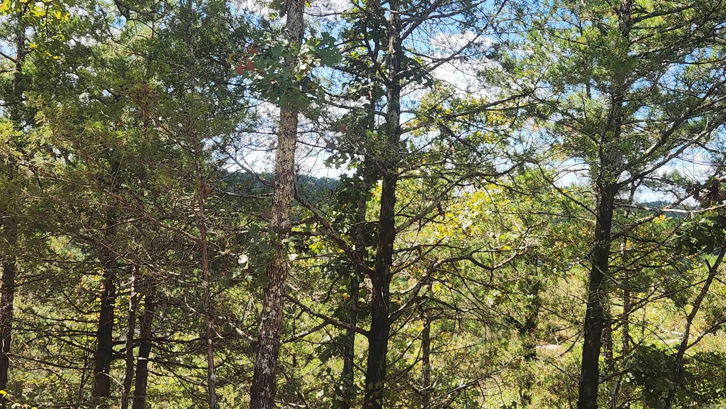 REVAS RETREAT - Land