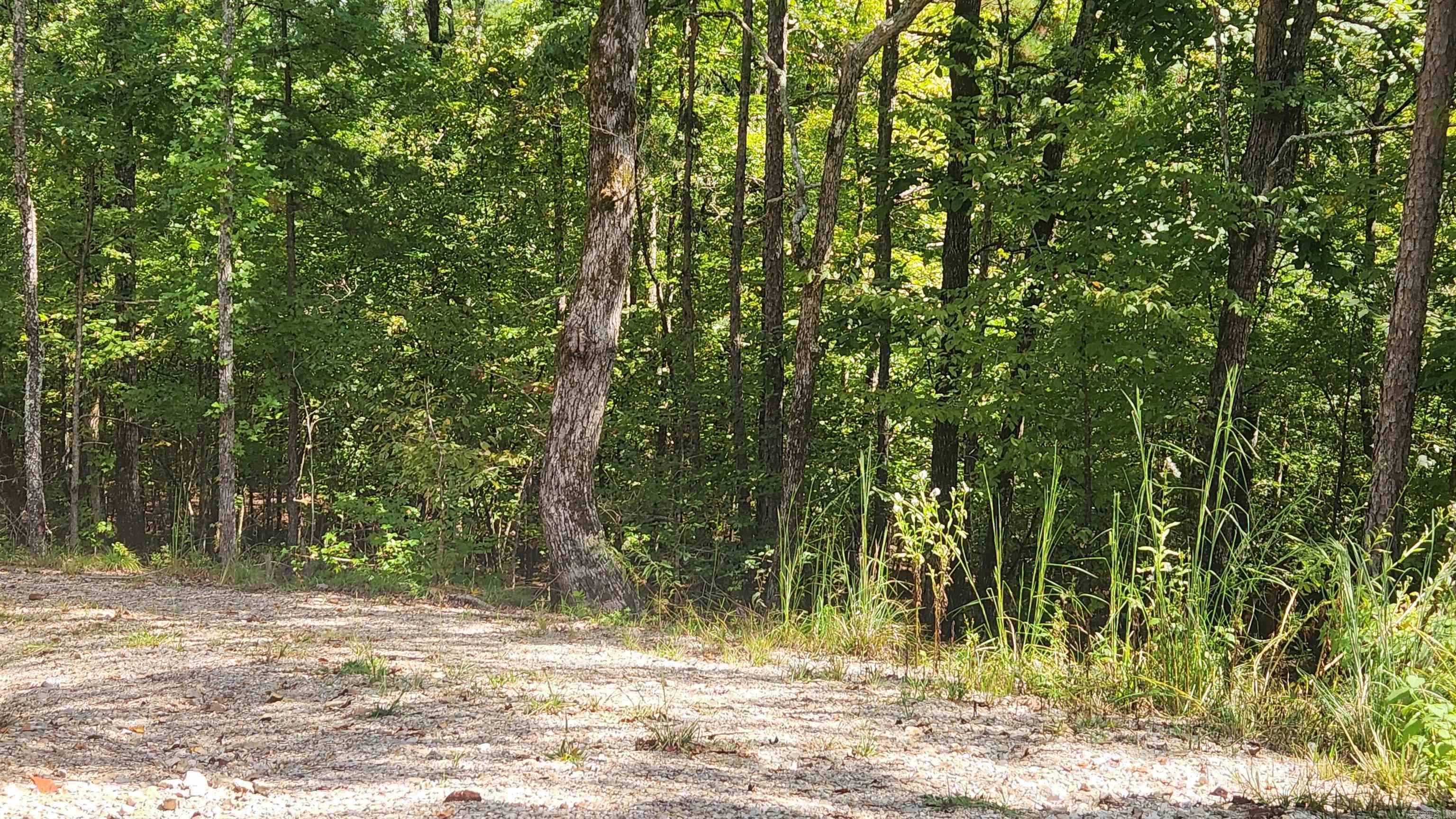 REVAS RETREAT - Land