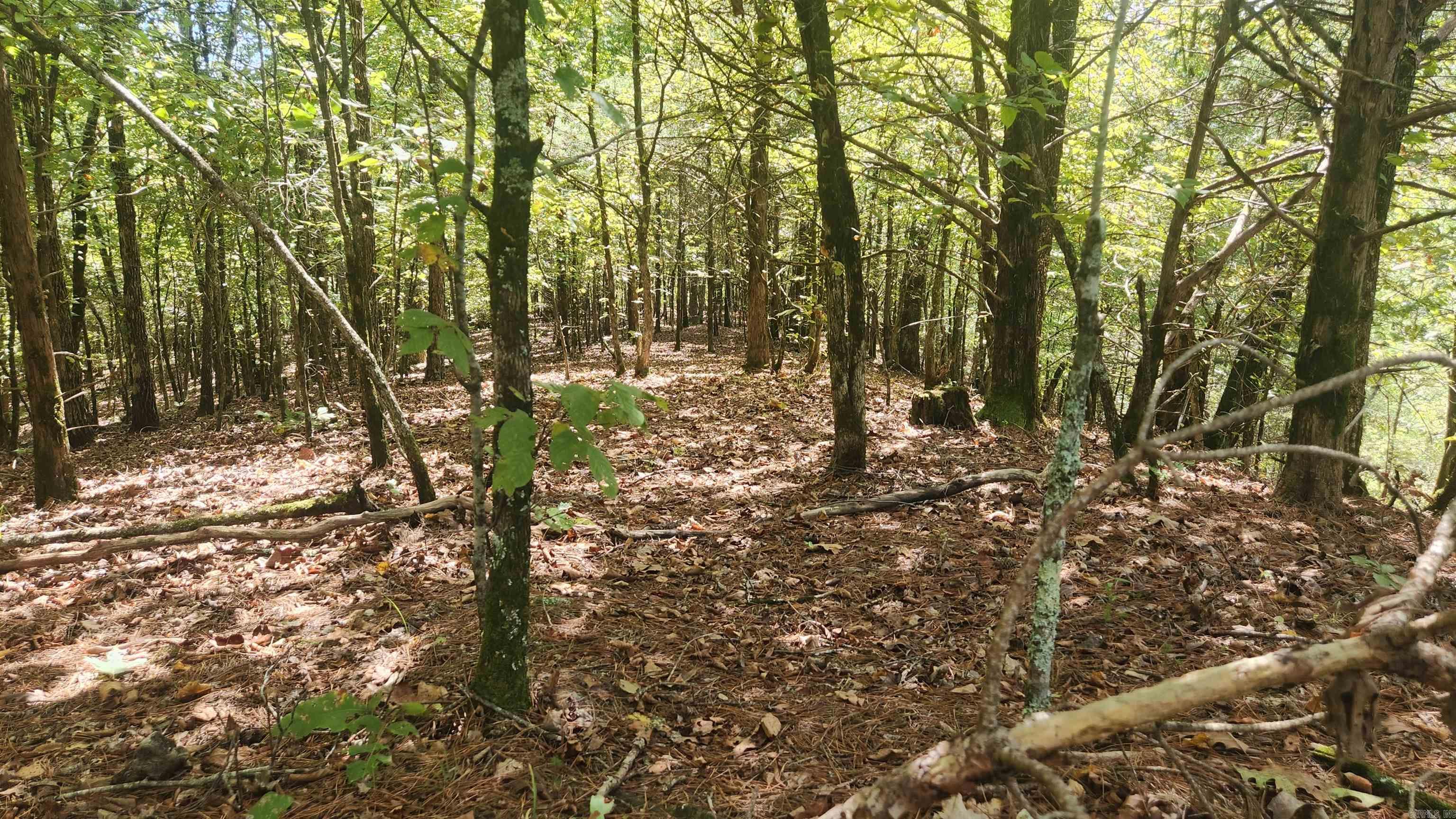 REVAS RETREAT - Land