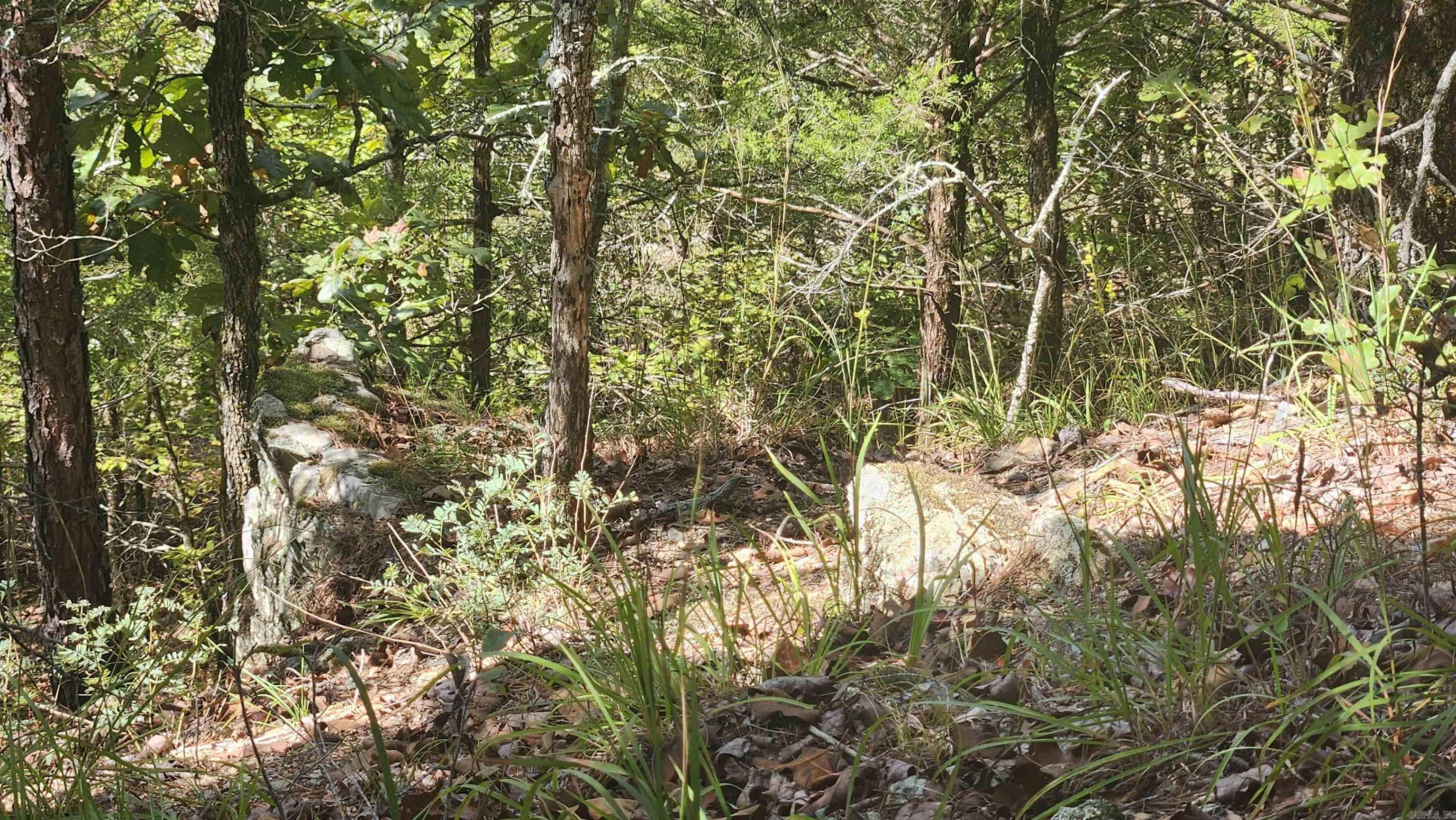 REVAS RETREAT - Land