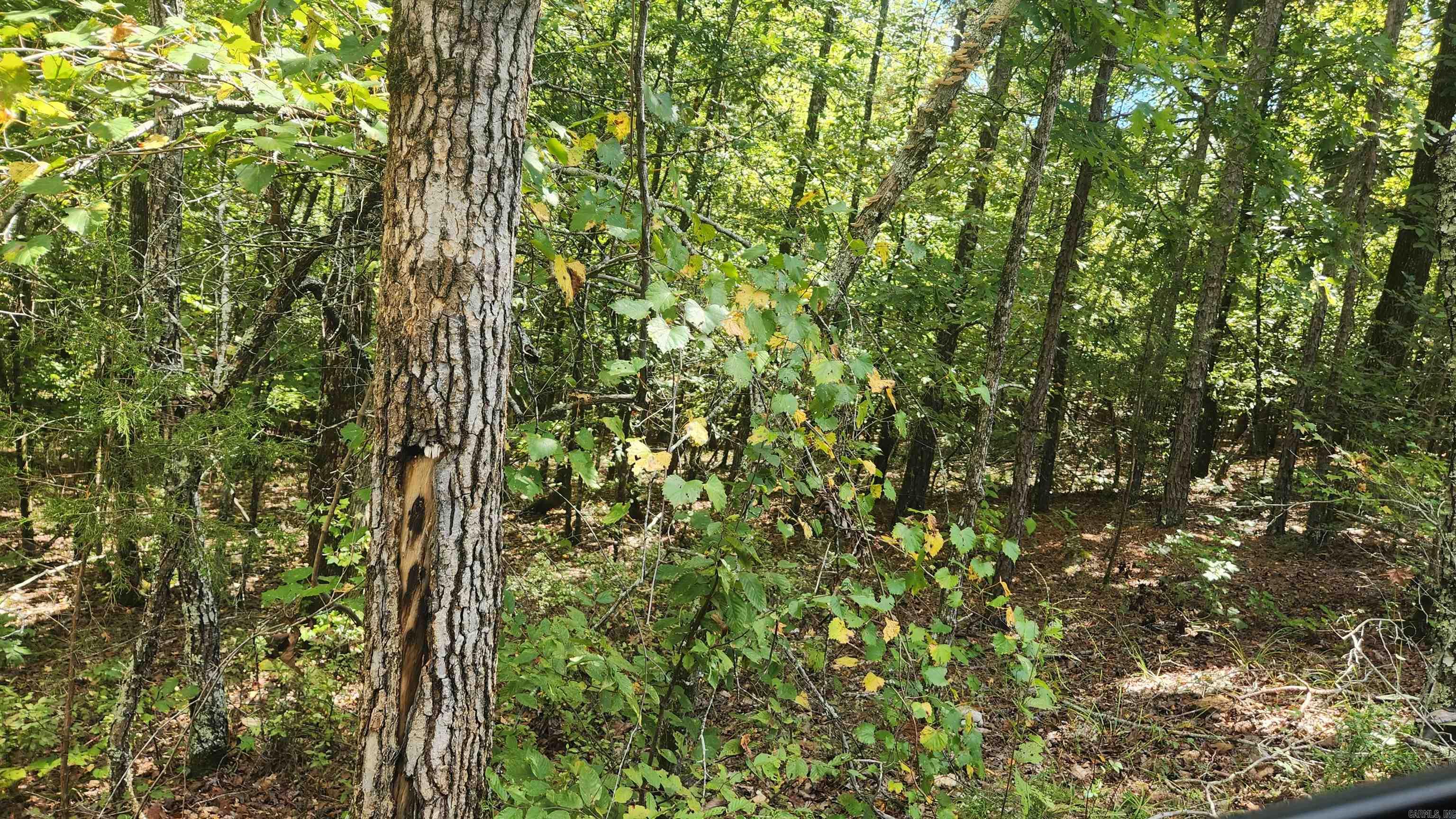 REVAS RETREAT - Land