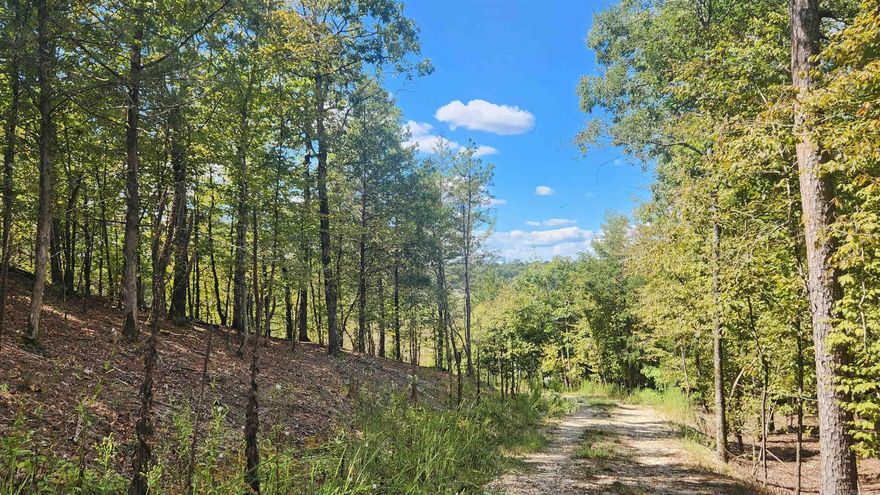 5.91 acres joining Ouachita National Forest on the north and east sides. Located in the serenity of Reva's Retreat in Story AR which in itself is completely surrounded by National Forest. A common area to Irons Fork Creek is designated for all the land owners in this community. This lot has a hill that is the perfect building site with privacy. Imagine looking down the valley 200ft below toward the west from your front deck. Underground electric is available. Current survey. About 1 mile to Lake Ouachita. Give us a call and let us show you around.