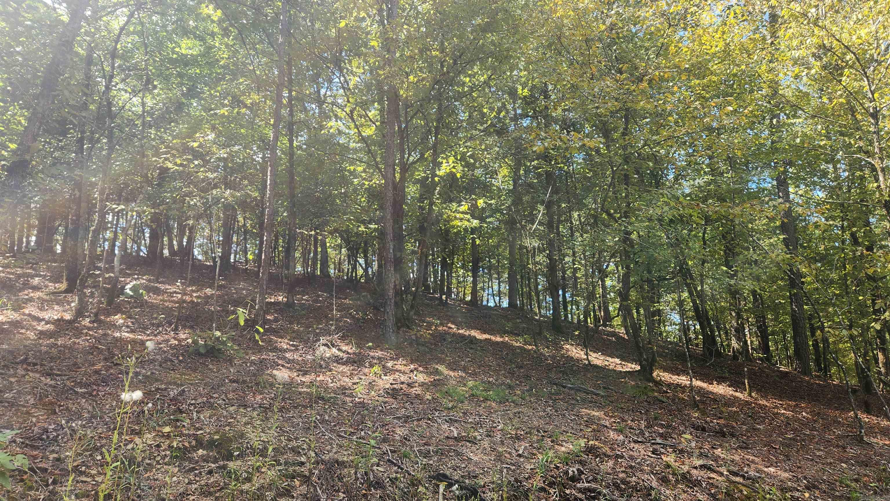 REVAS RETREAT - Land