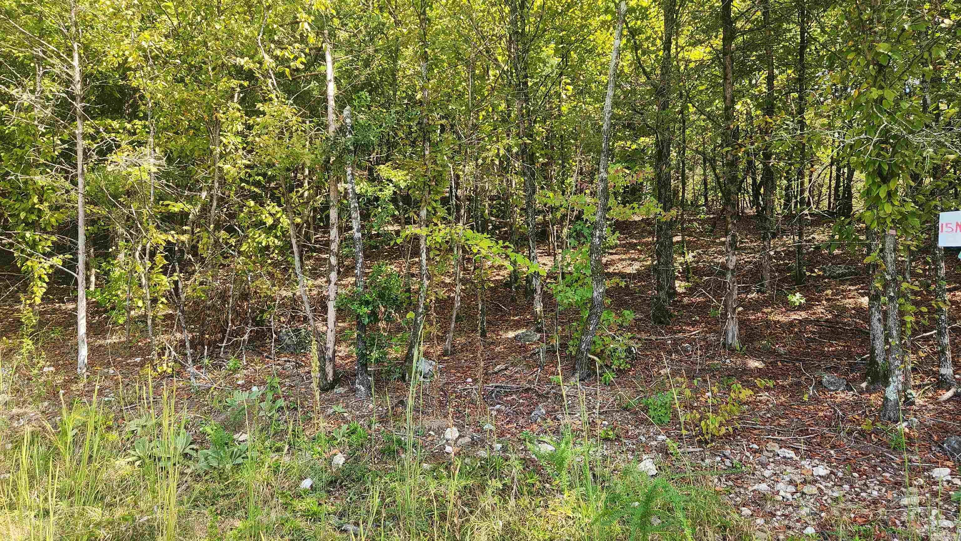 REVAS RETREAT - Land