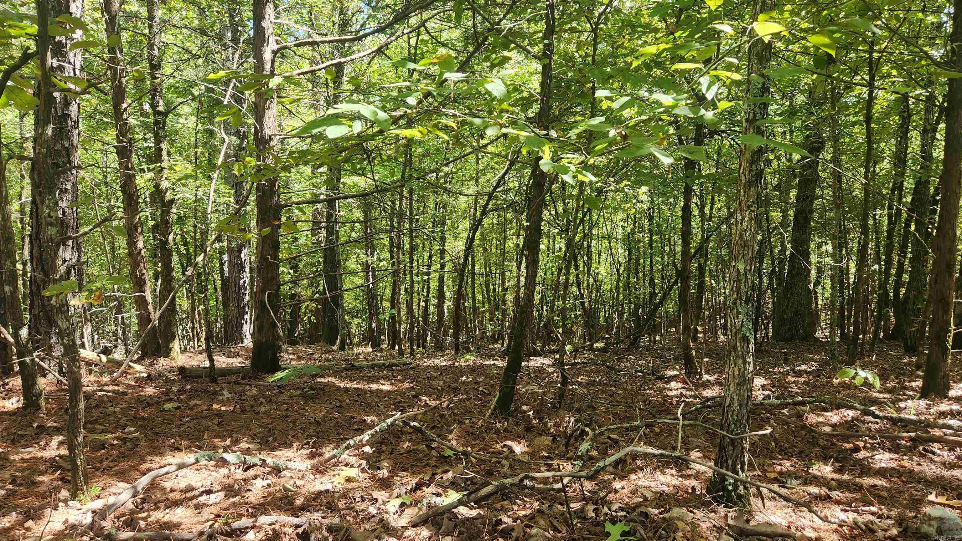 REVAS RETREAT - Land