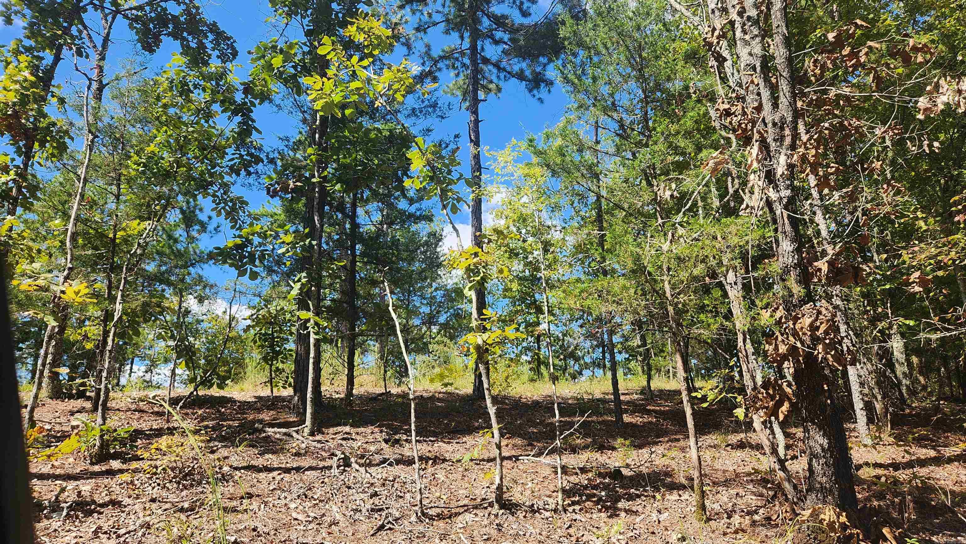 REVAS RETREAT - Land