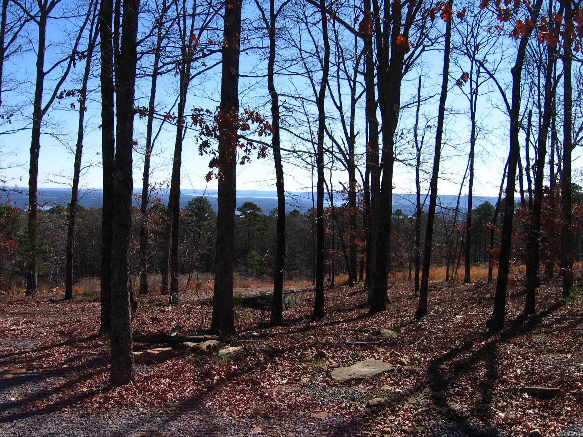 Osage Point - Land