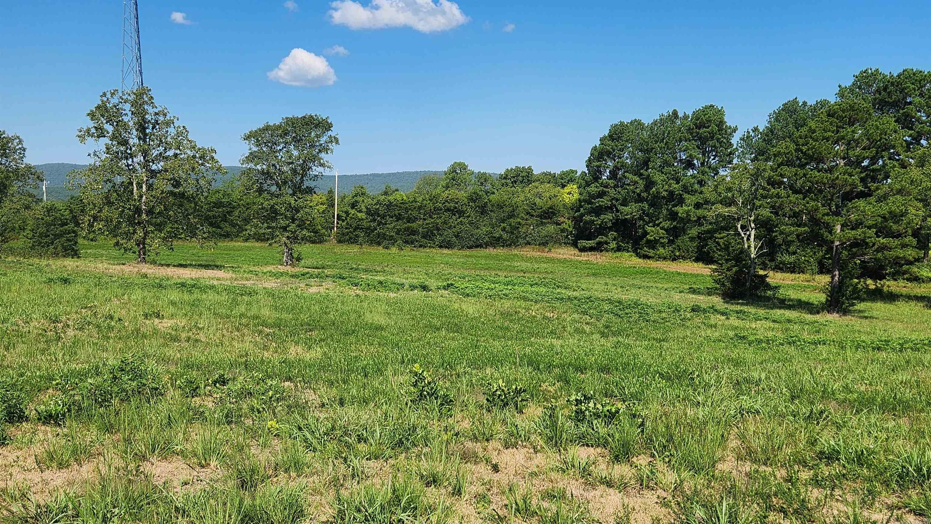 24 acres in Story AR. This property features a one acre stocked pond (bass, catfish, bream, crappie) and joins Ouachita National Forest on the north and east side. It is also within walking distance to Muddy Creek and has a nice view of the Muddy Creek Wildlife Management Area. 4 miles to Lake Ouachita. No restrictions. Mineral rights do convey. Has access to Hwy 27N and Hwy 298E. Electric is available. Well and septic need to be installed. Call today for an appointment.