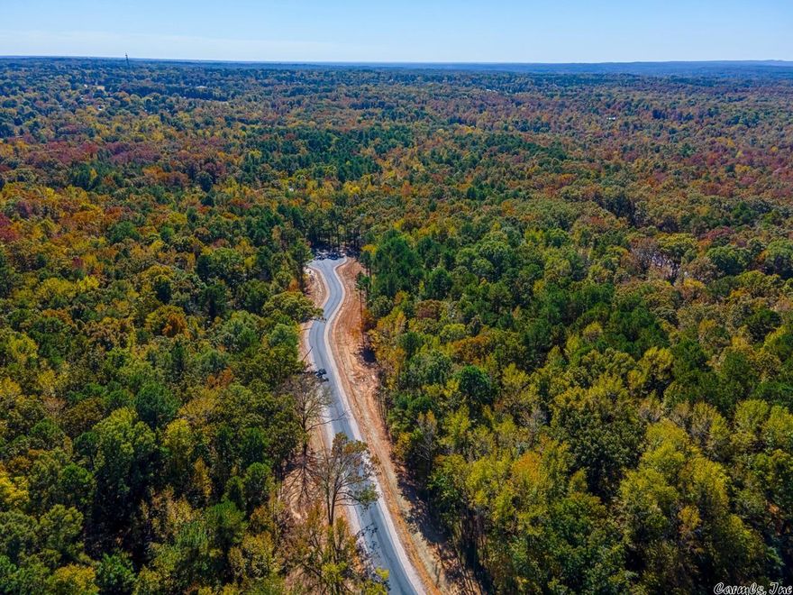 Wooded Subdivision, for plat and all info go to hazel-oak.com.  General Perk test has been done on each lot.