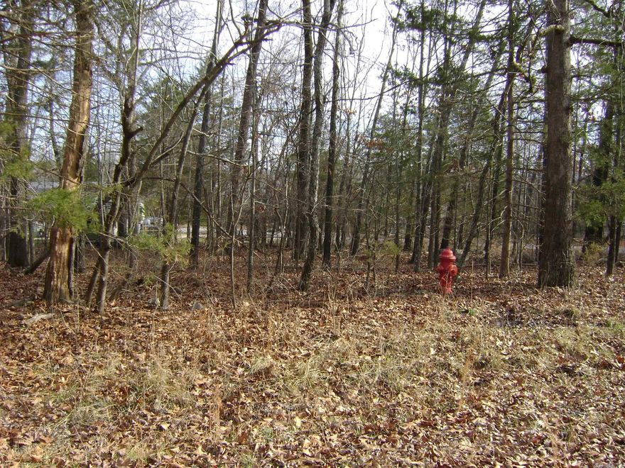 If you are looking for a great place to build your dream home on this corner lot with a seasonal Crown lake view. Horseshoe Bend has a 18-hole championship golf course, driving range and pro shop. We have some of the best fishing lakes, skiing, and boating. You can enjoy tennis, shuffleboard, horseshoe pitching, walking trails, parks and playground. We are also close to some very good canoeing rivers and some of the best trout fishing. Come take a look.