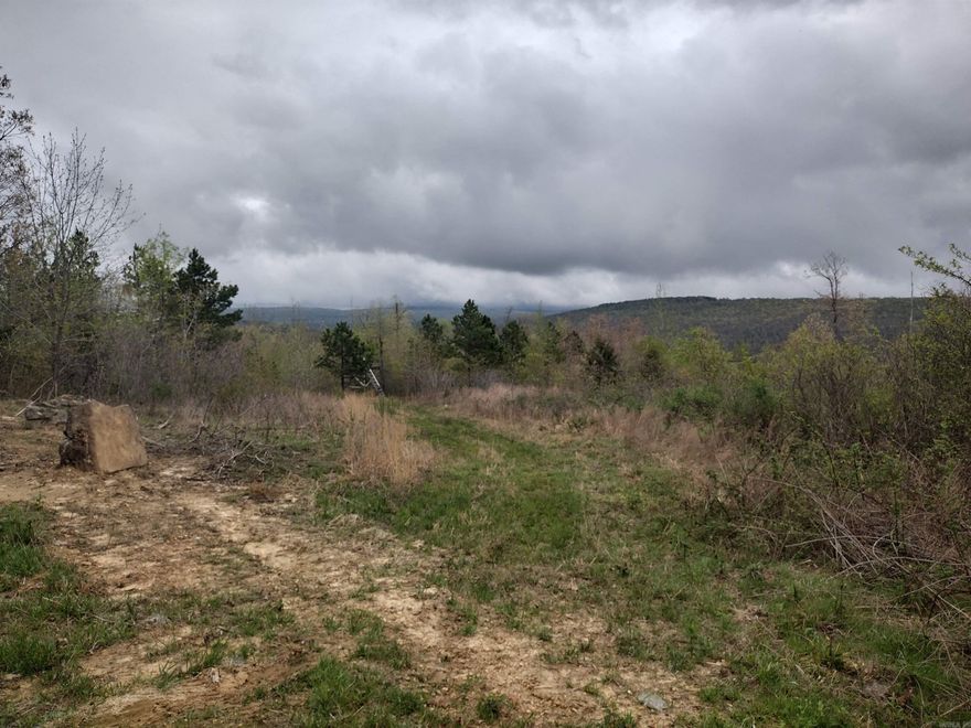 Great views great hunting land secluded almost end of the road