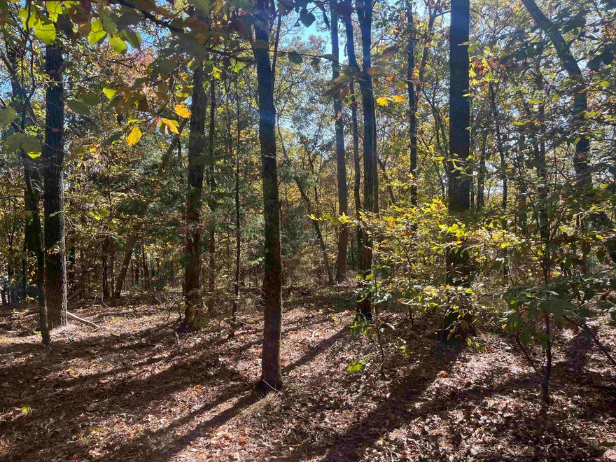 9+\- acres in Caddo Hills School District! Raw land to make your own! There is a wet weather creek that runs through the land and the property has access to Norman city water! Listing agent is related to seller.