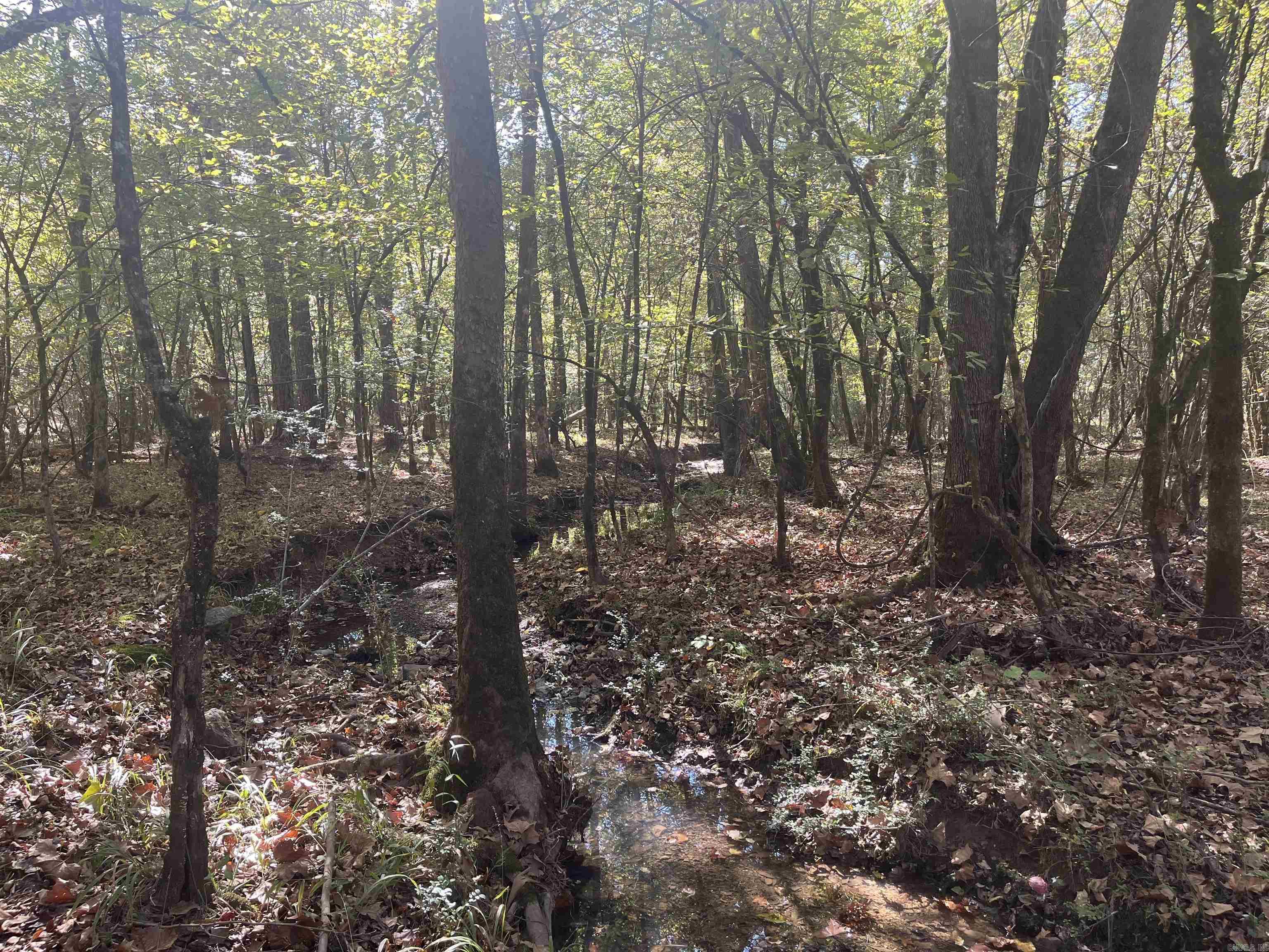 Metes & Bounds - Land