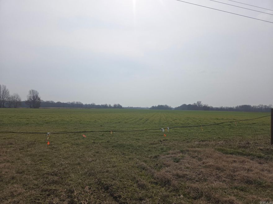 16 Acre tract located in Section 24, Township 2 South, Range 2 East. Timber classification reflected in tax record. Suitable for recreational, agricultural, or timber investment use. Buyer to verify utilities and access.