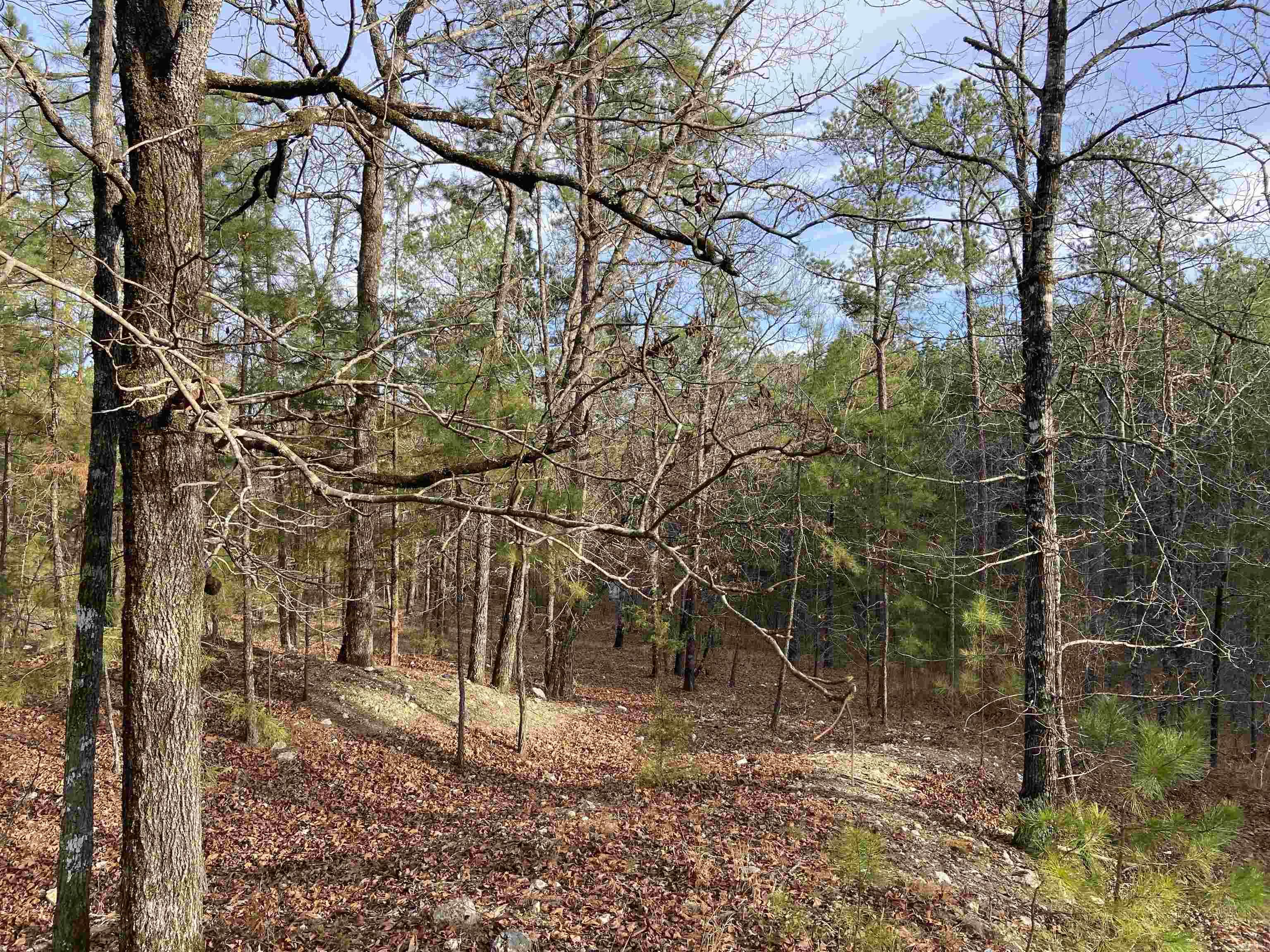 If you have dreamed of country living, don't miss this acreage that borders on the Quachita National Forest and is part of the Winona WMA! Just a quarter of a mile from Lake Winona, this land has an abundance of wildlife including deer, turkey and wild hog plus a small pond on the property. Tons of foliage such as natural blackberry patches, trifoliate oranges, wild onions and garlic. There are utilities at the road including city water and a fire hydrant across the street. This acreage is 15 minutes outside of West Little Rock and 30 minutes outside on Benton!