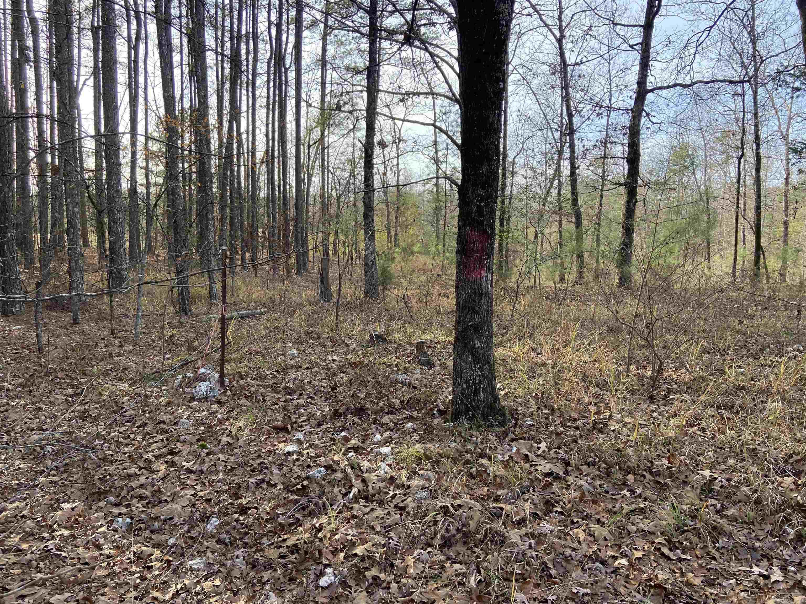 Not in Subdivision - Land