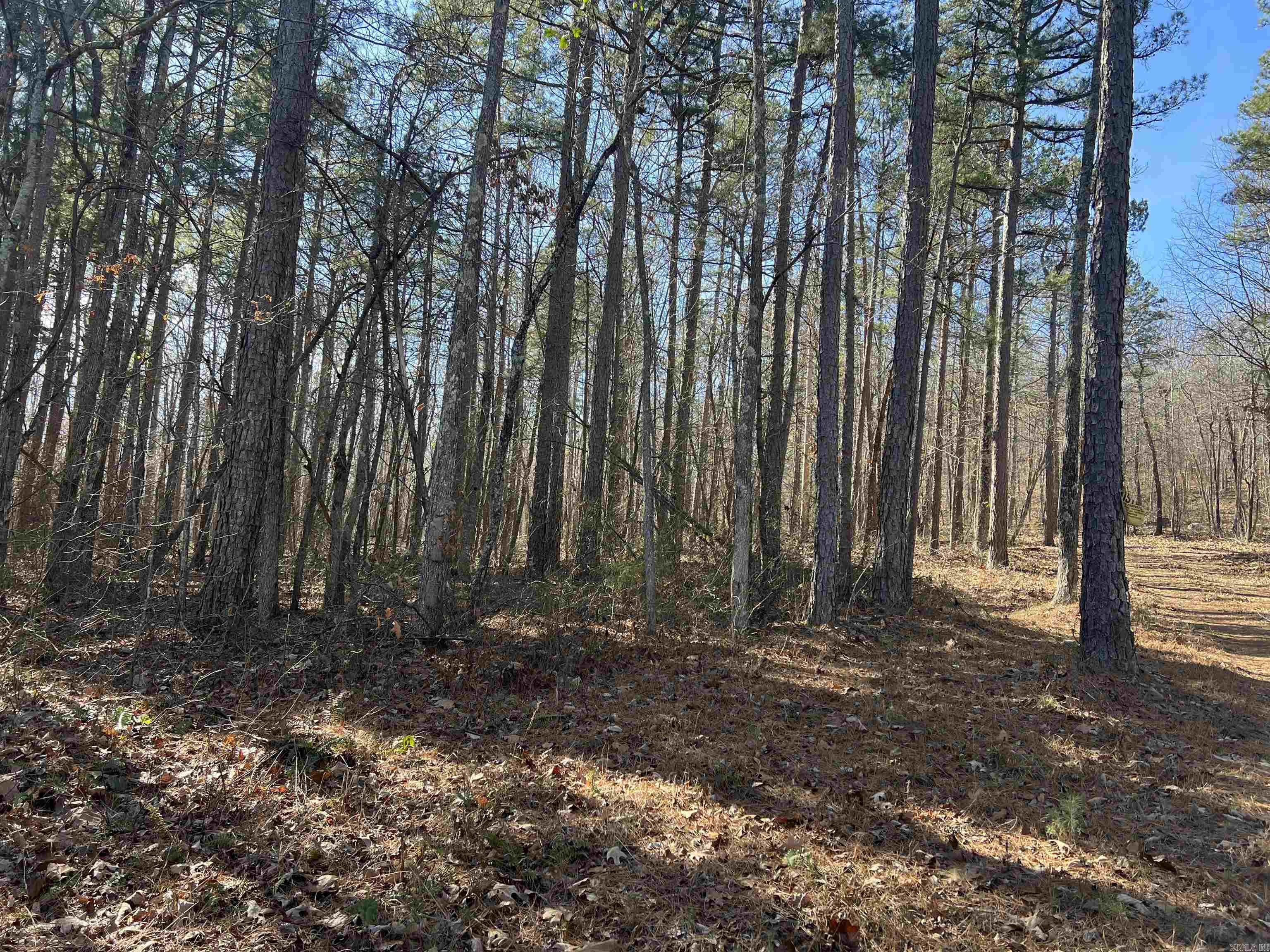 Metes & Bounds - Land