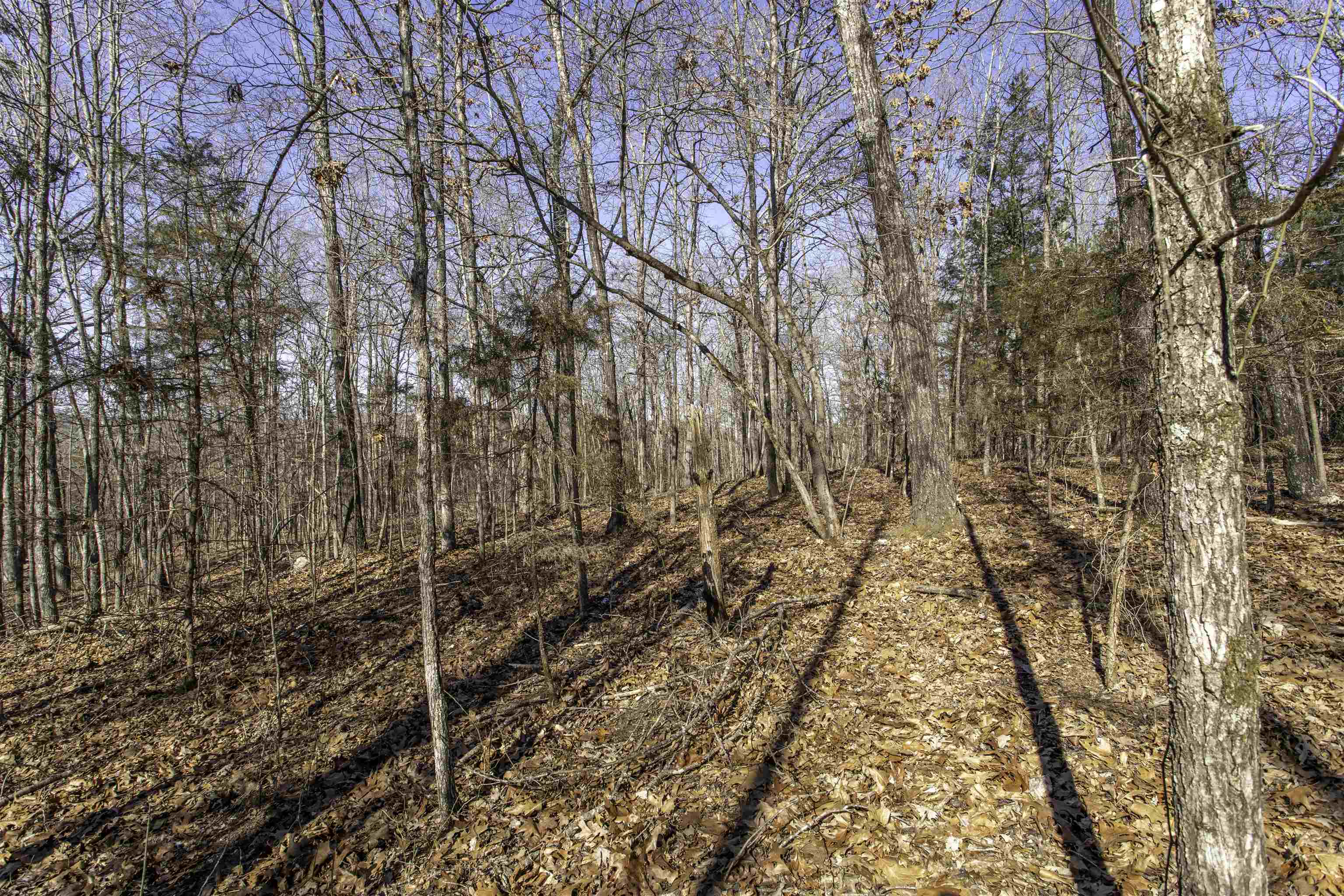 Mountain Valley Estates - Land