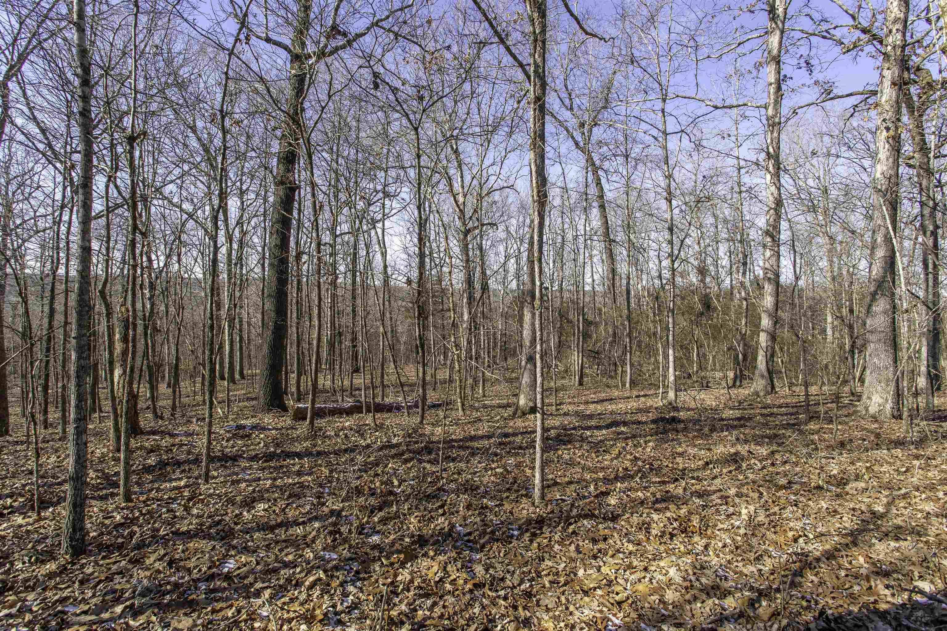 Mountain Valley Estates - Land