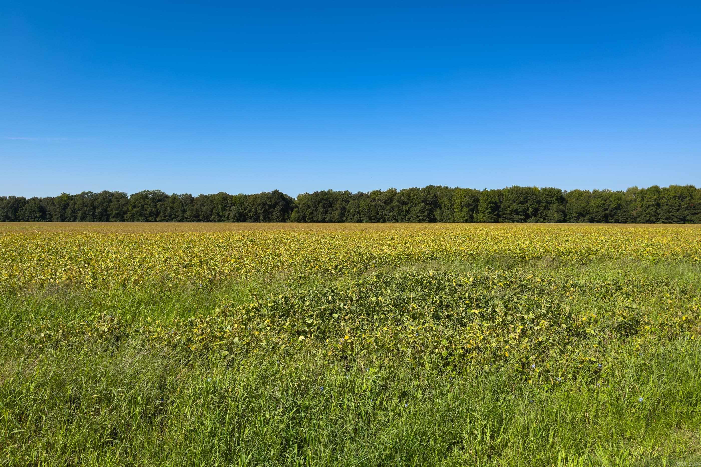 Metes & Bounds - Farm