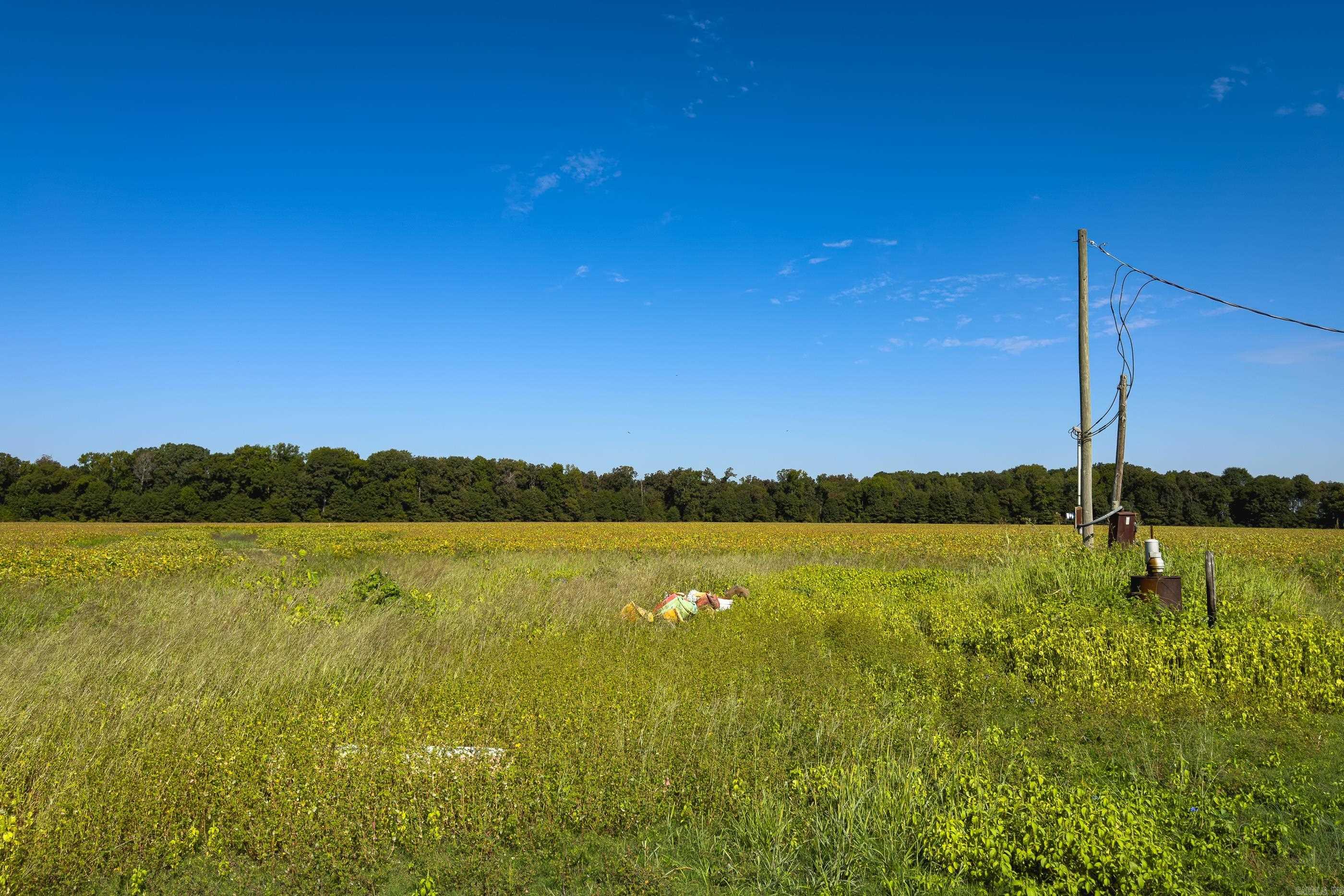 Metes & Bounds - Farm