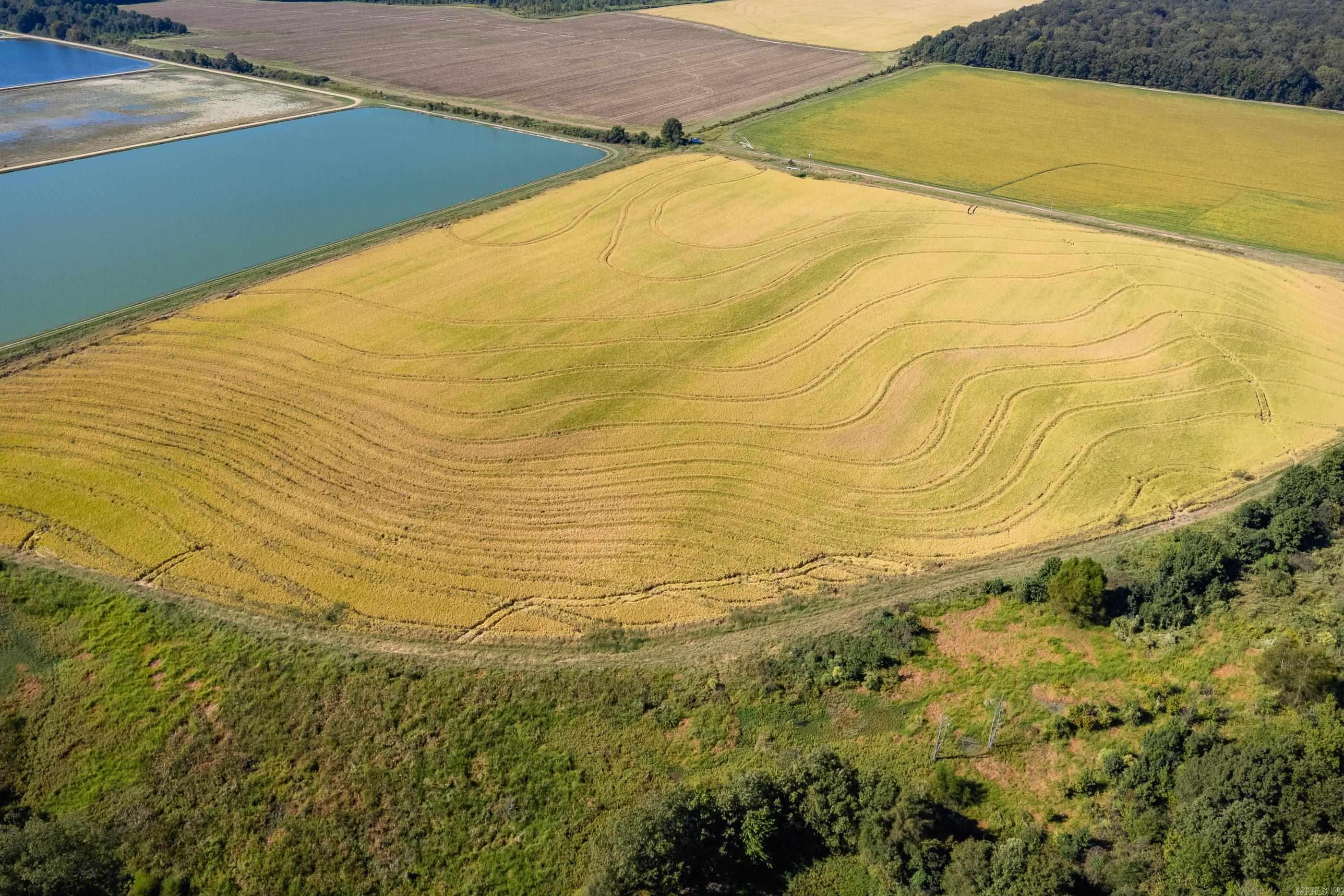 Metes & Bounds - Farm