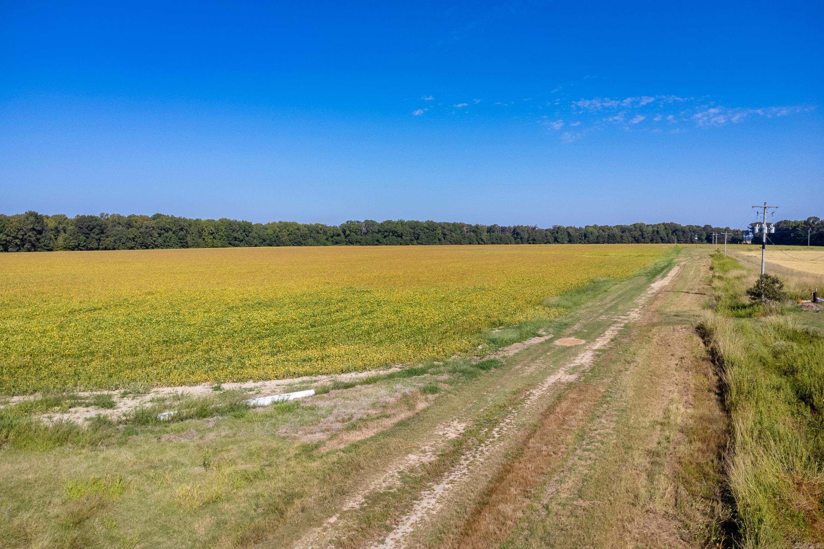 Metes & Bounds - Farm