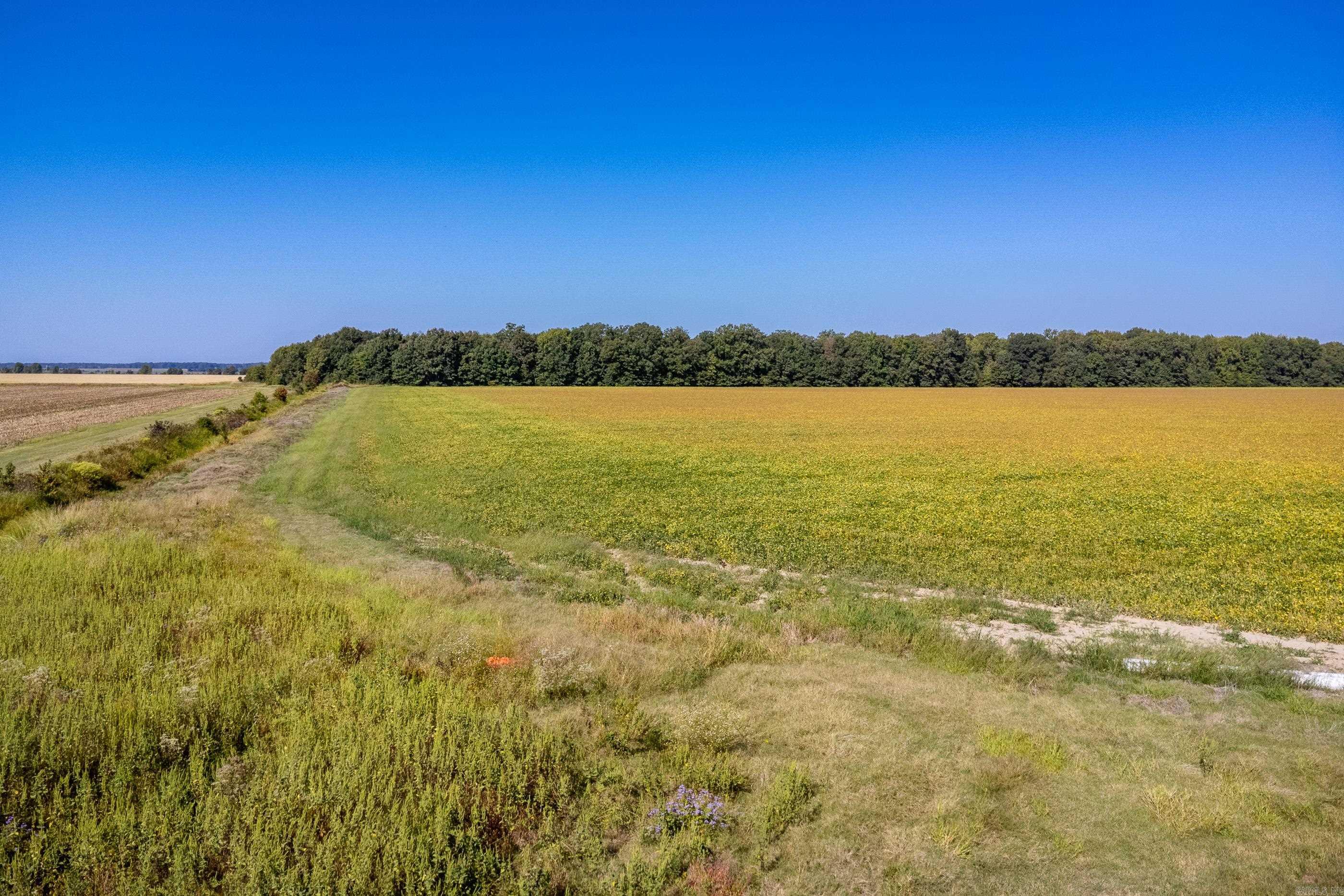 Metes & Bounds - Farm